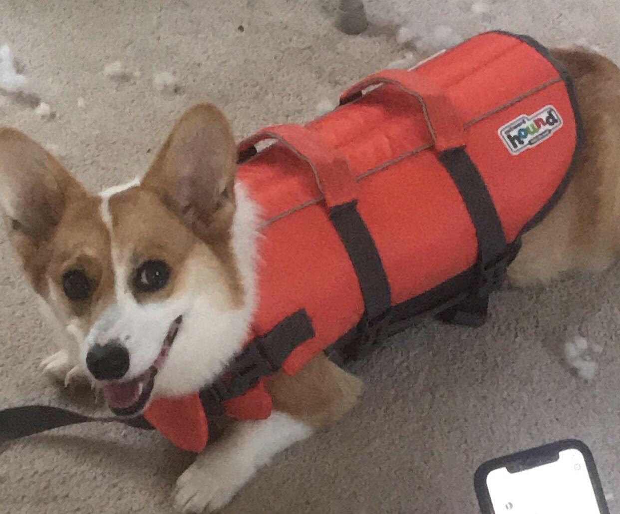 Looking for float trip tips and tricks. We have her life jacket and she has a waterproof collar