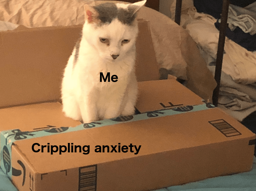 Invest in sad, cute cat memes! Wholesome memes are memes