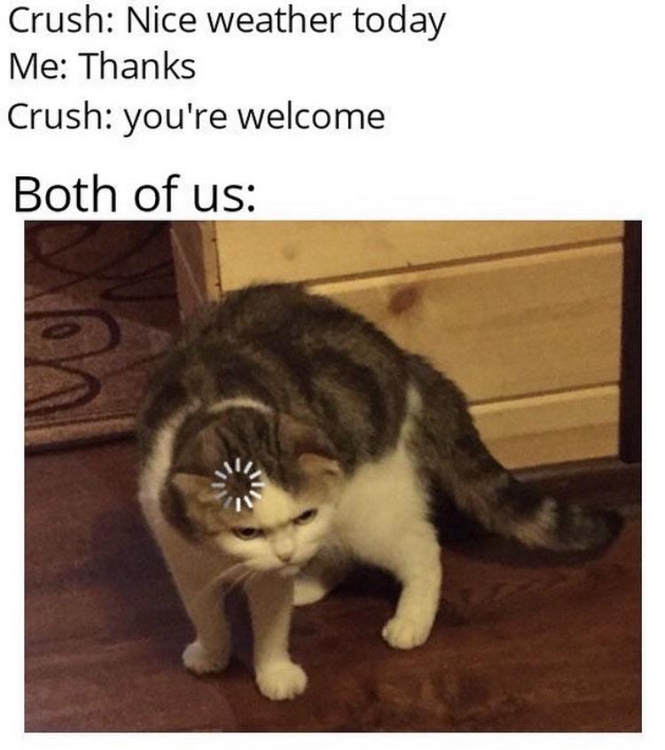 When your crush gets nervous talking to you too r/memes