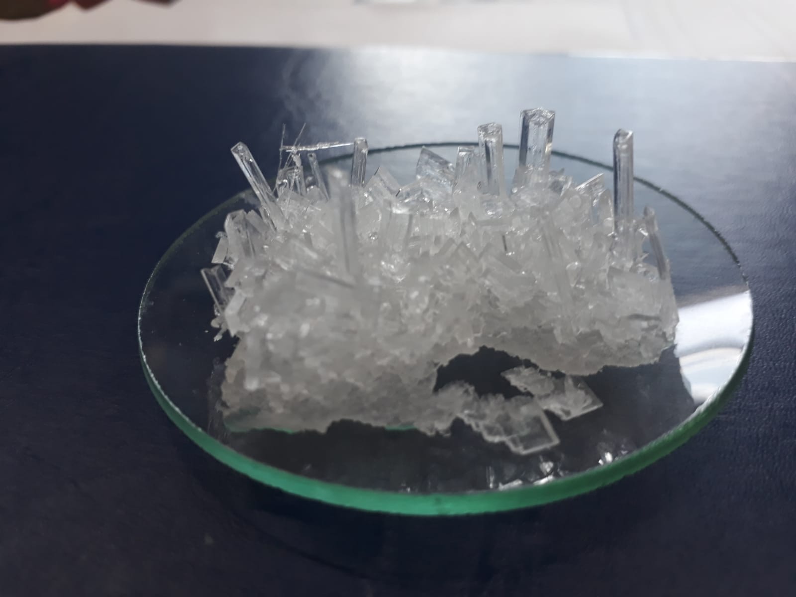A potassium nitrate crystal city I grew at work for fun. r/chemistry