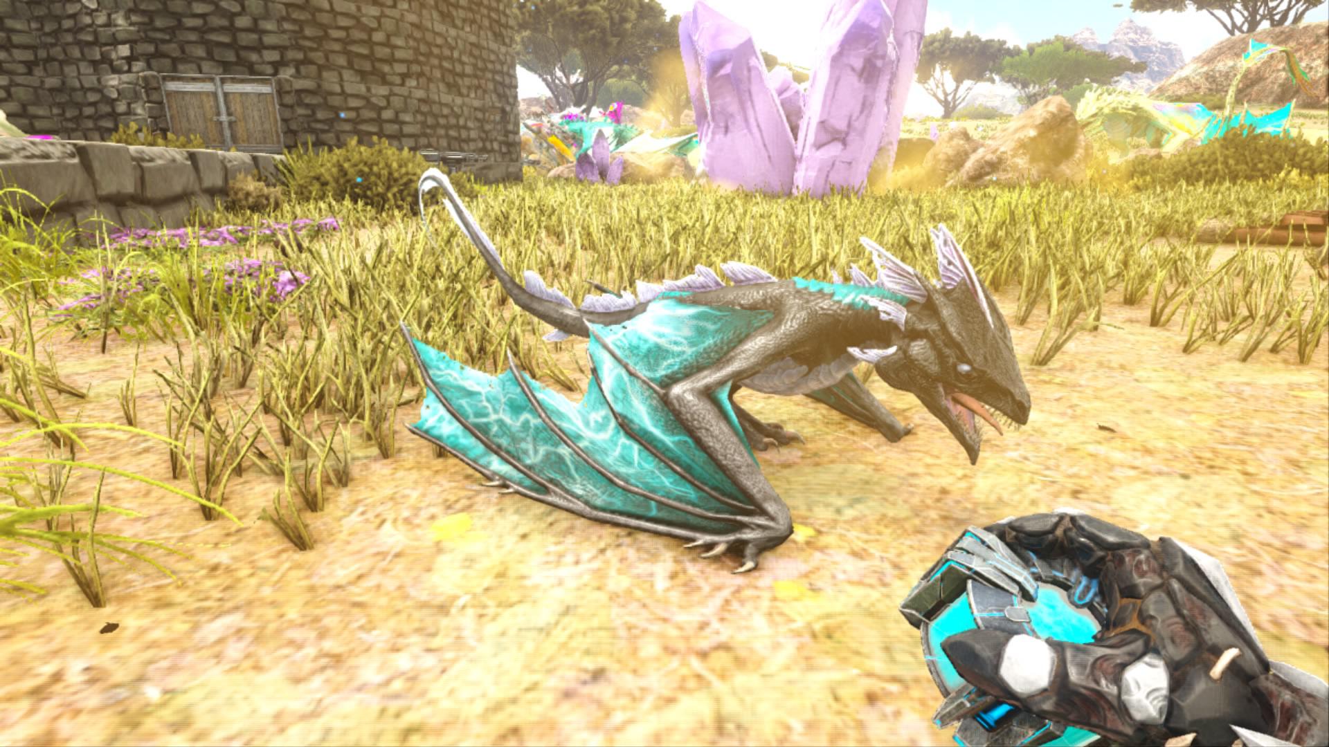 She is a lightning wyvern lvl 289. She gonna be a beast. I need help