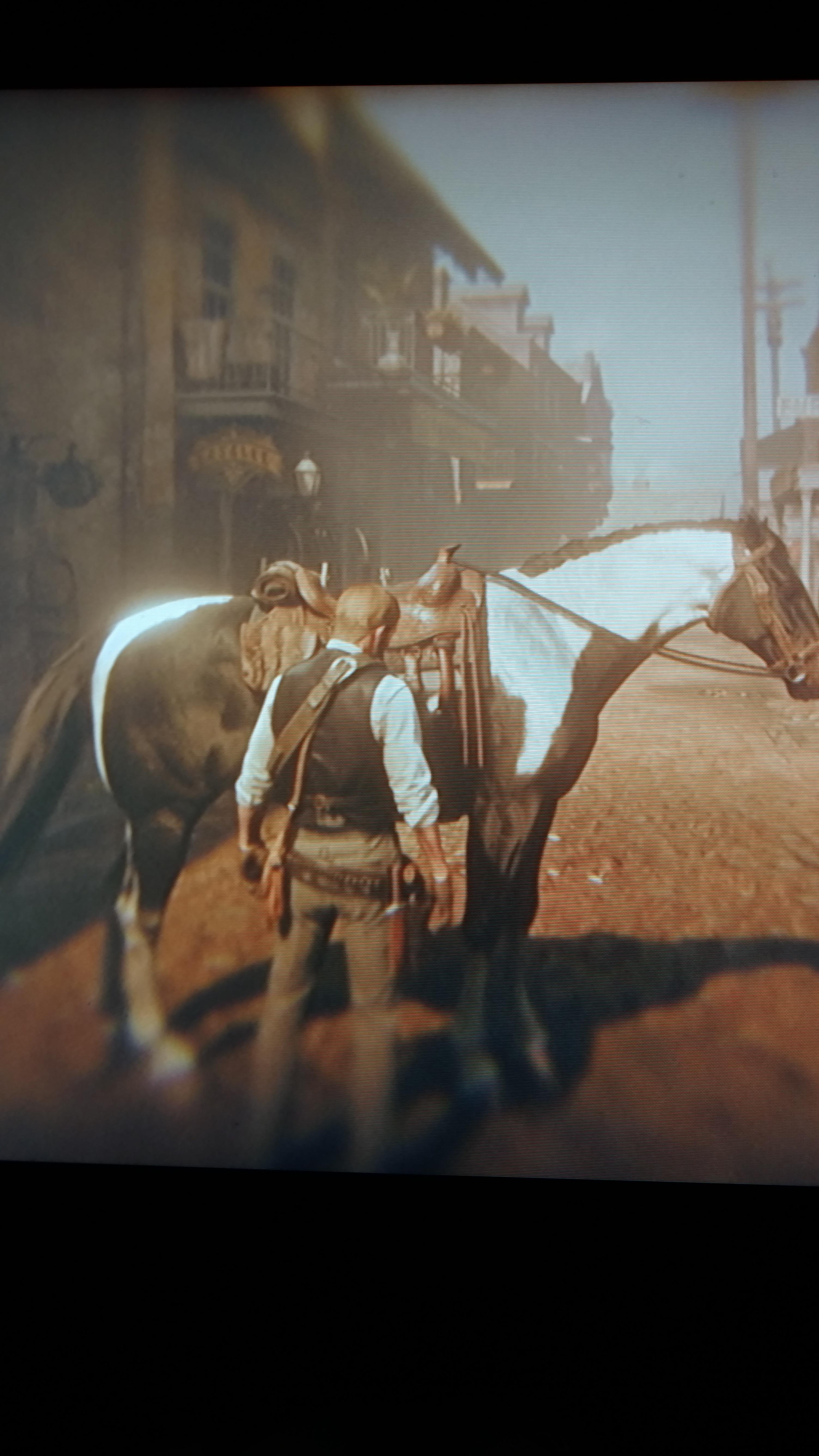 My brother is stuck behind his horse during "a fork in the road" and he