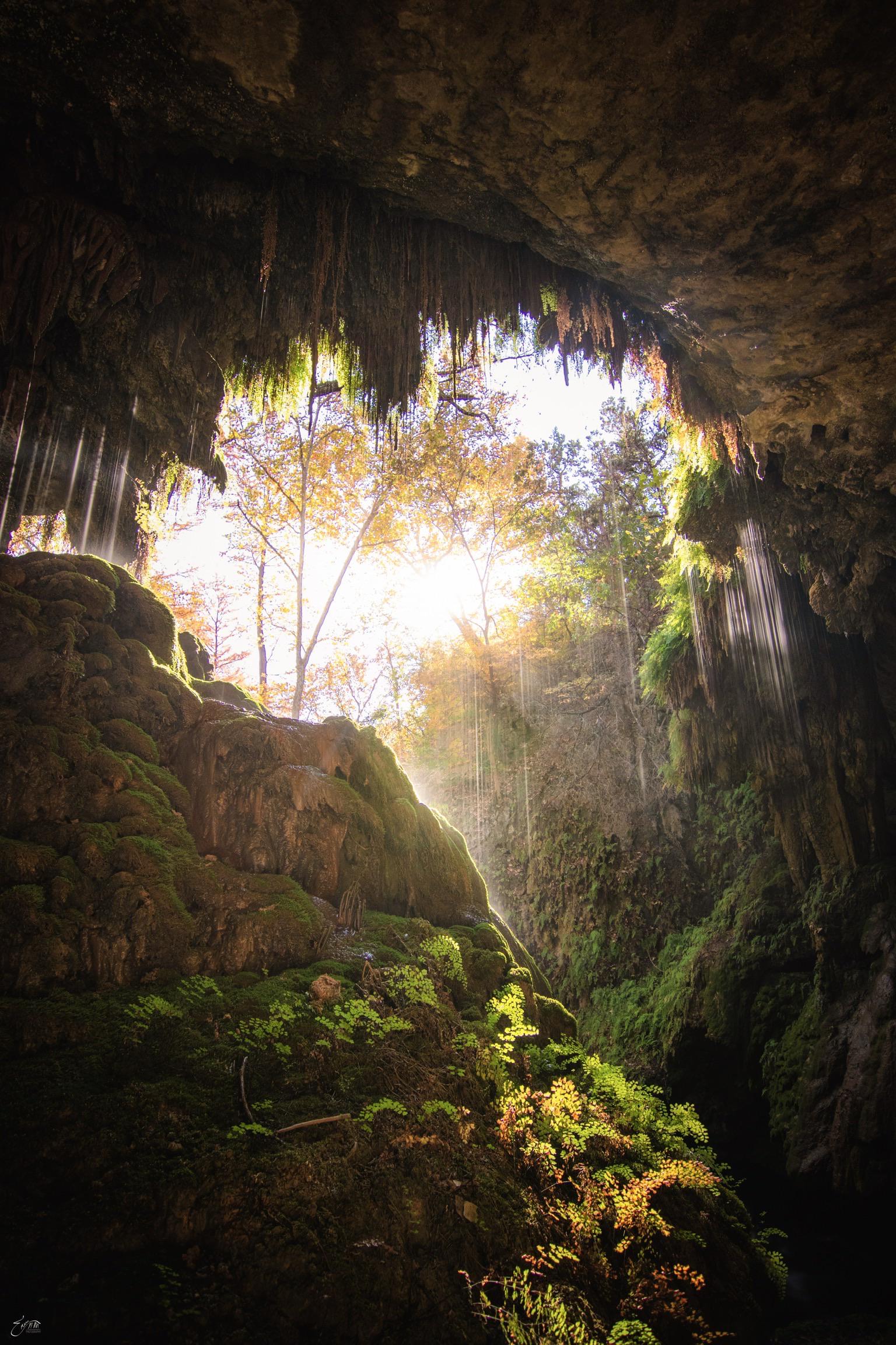 This hidden grotto in Texas looks like a scene out of Jurassic Park