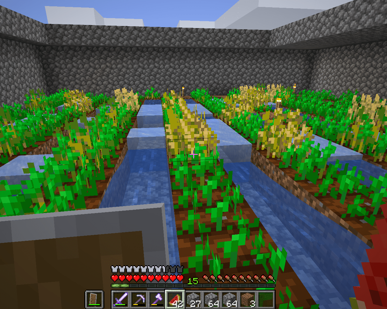 Farm Biome