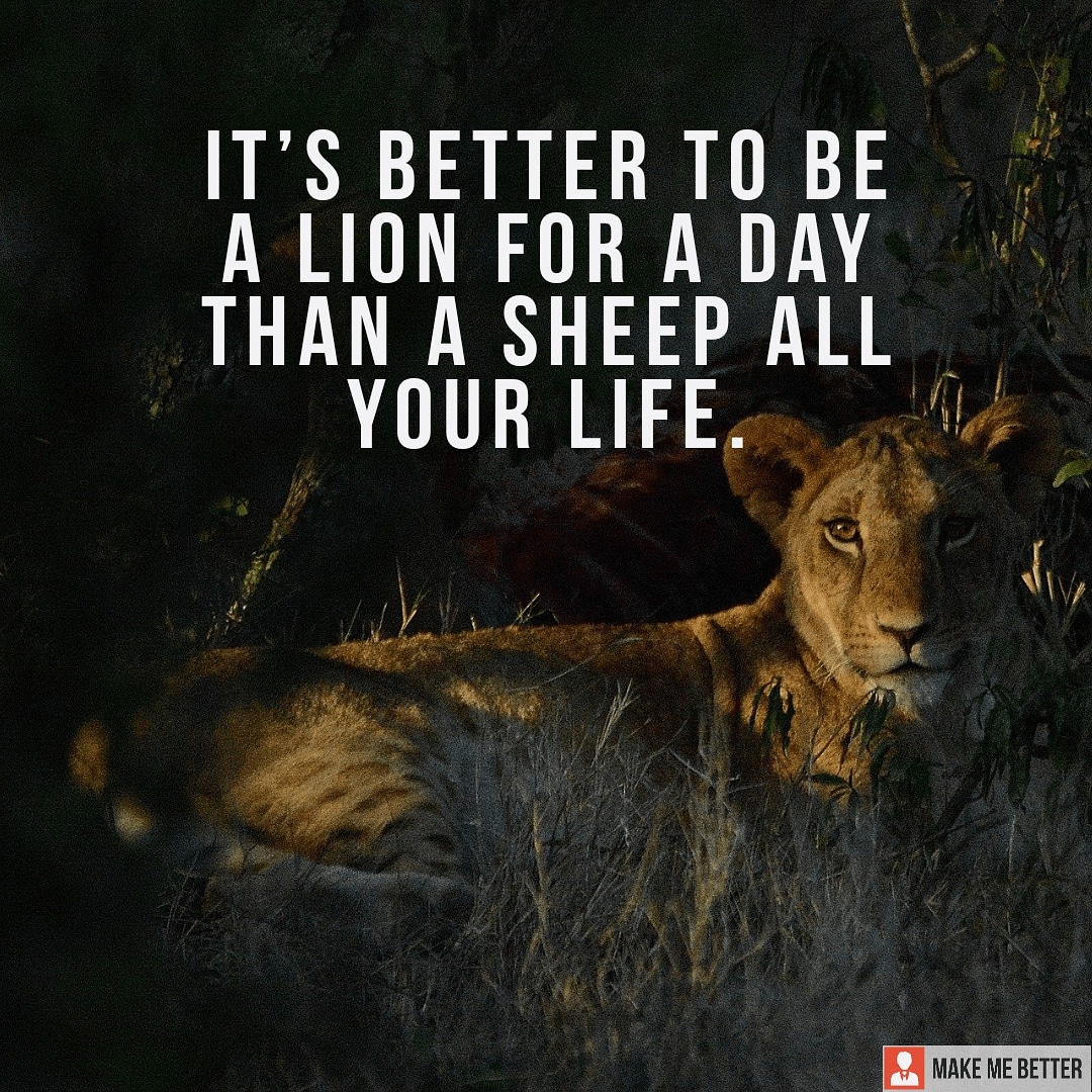 "It’s better to be a lion for a day than a sheep all your life." r