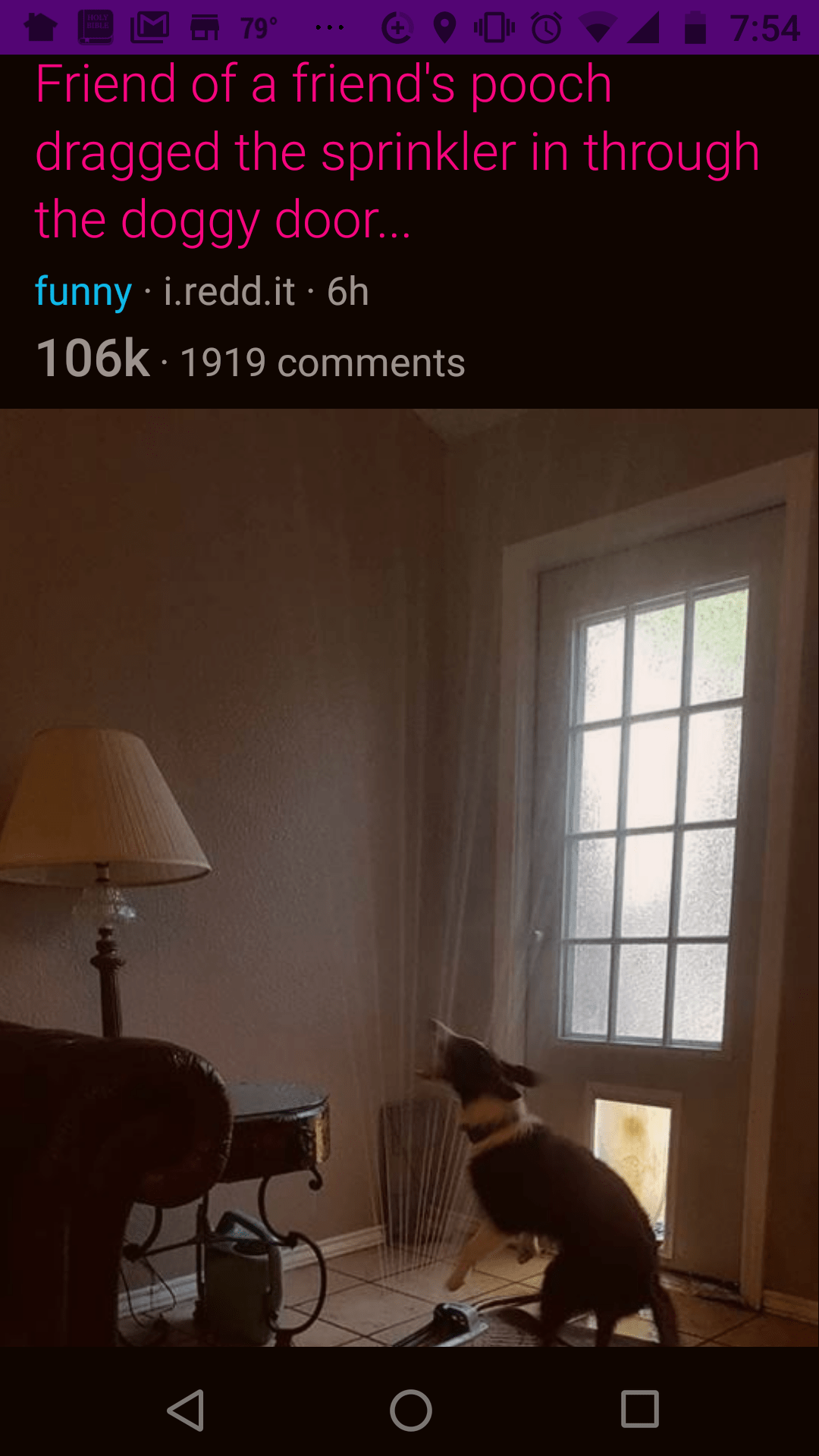 Oh yeah… Dogs are great⸮! r/Dogfree