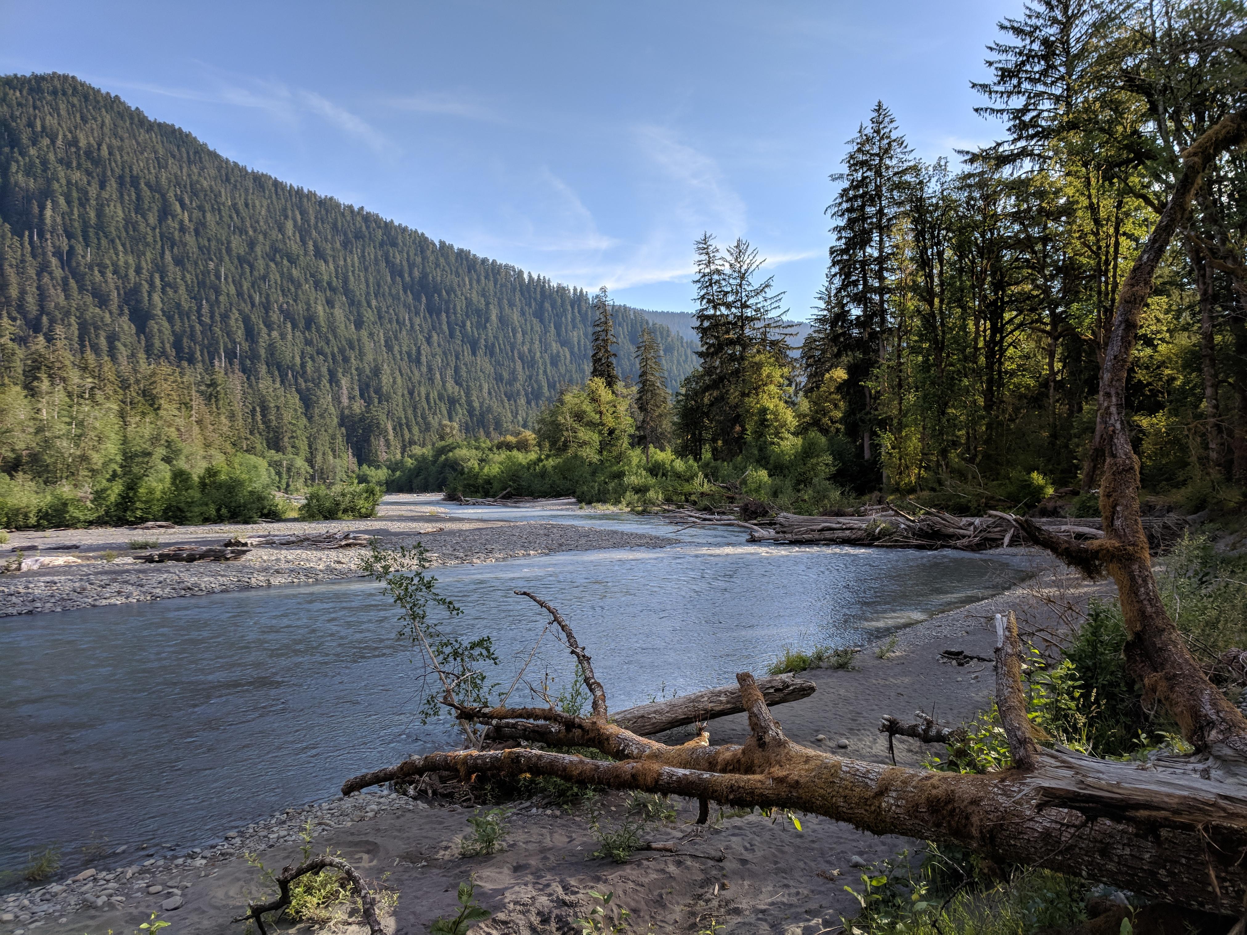 View from my campsite at 5 Mile on the Hoh River Trail. Can't wait to