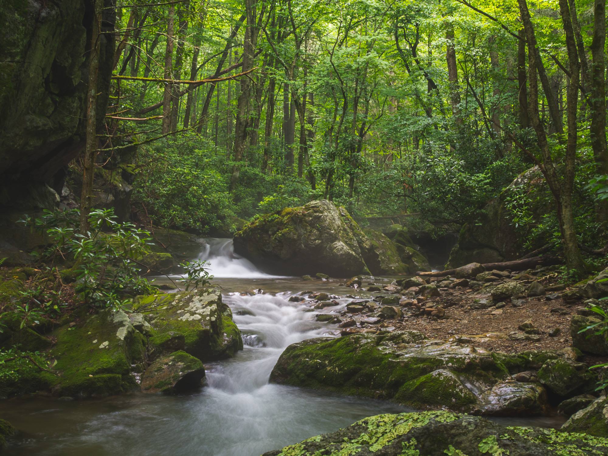 Cherokee National Forest, Tennessee [2000x1500] [OC] r/EarthPorn