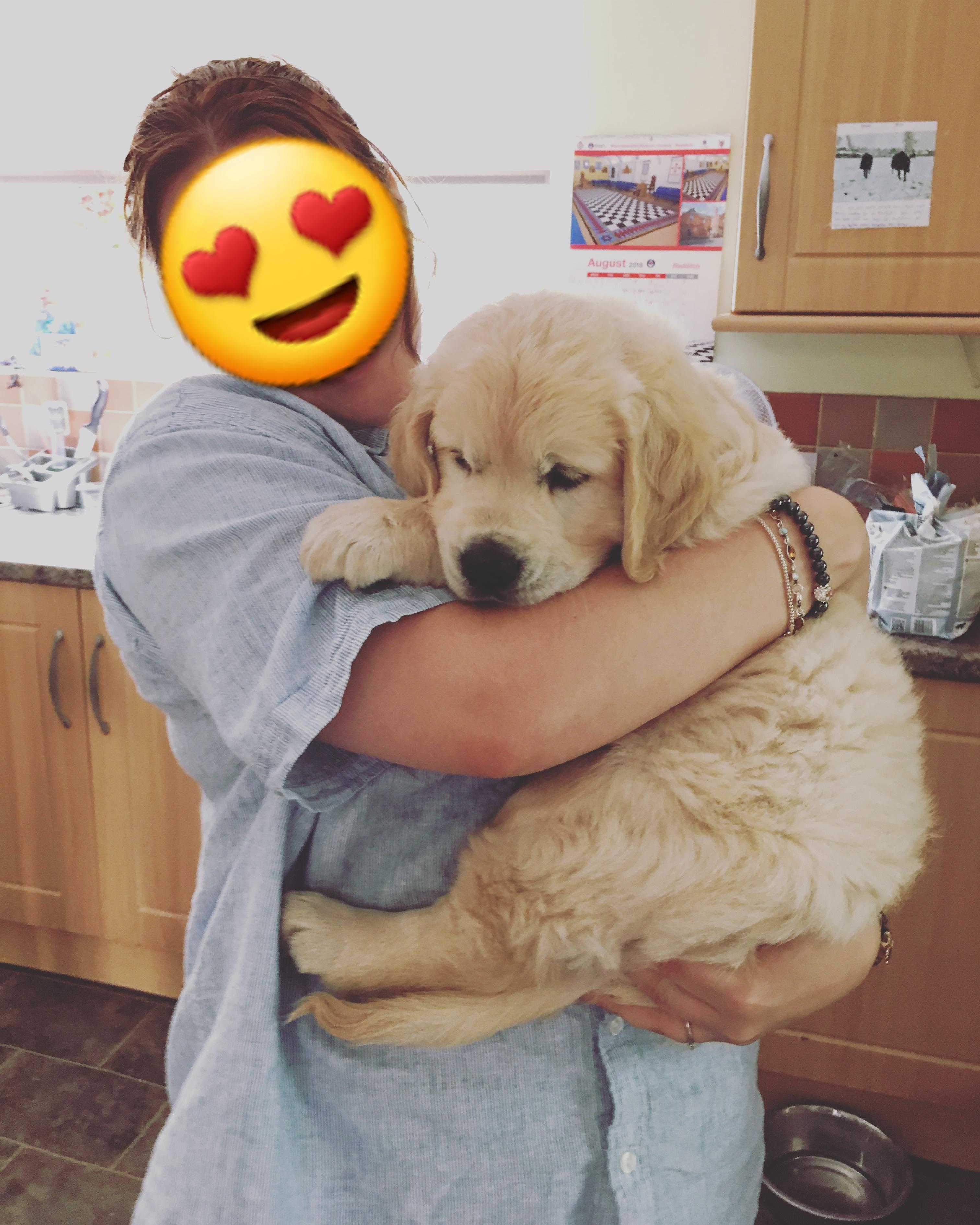 Why is my dog so big? 7 weeks old, ready to come home in a week!! r