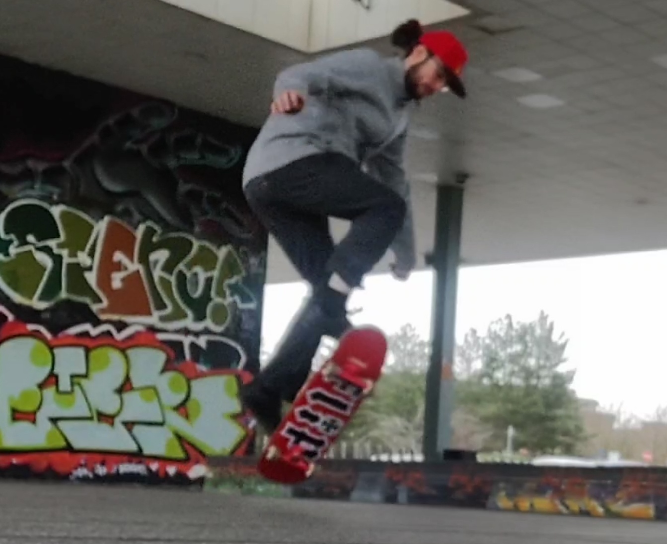 Friend helped me get pictures of my moving Ollie and found out both