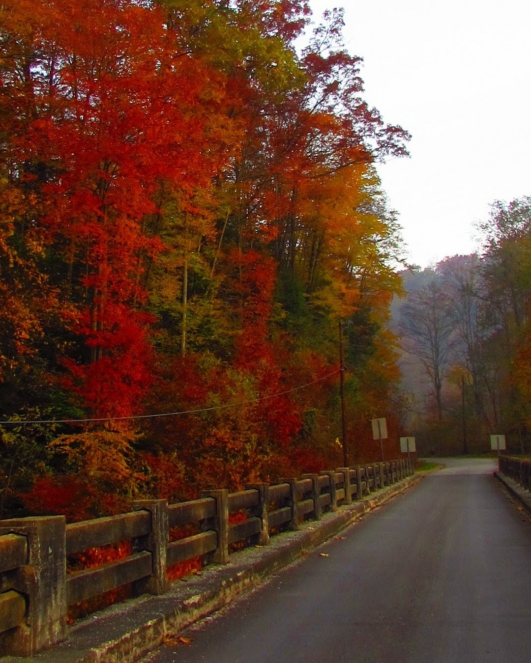 Bergoo west Virginia r/WestVirginia