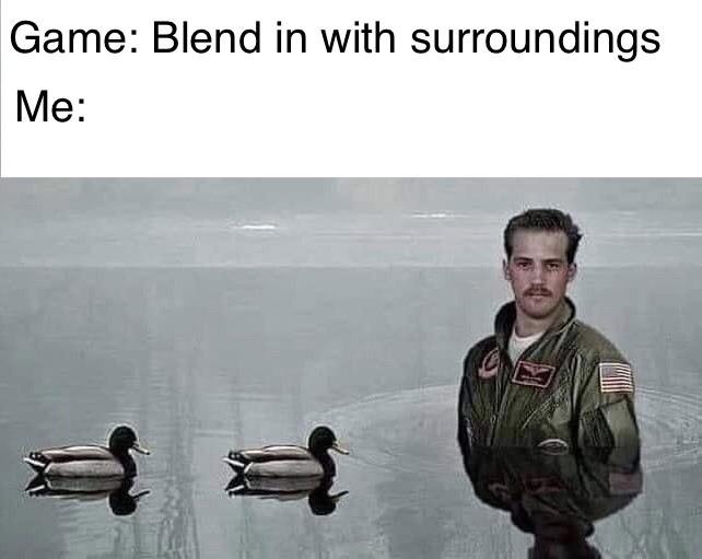 Playin a little duck duck goose memes