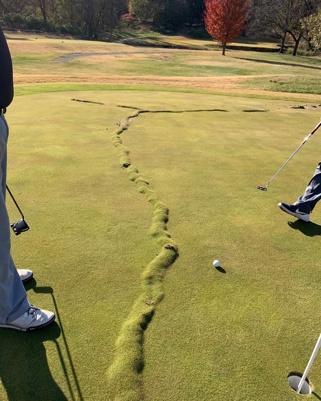 Time to kill all the golpher!! Sir, I think that's illegal golf