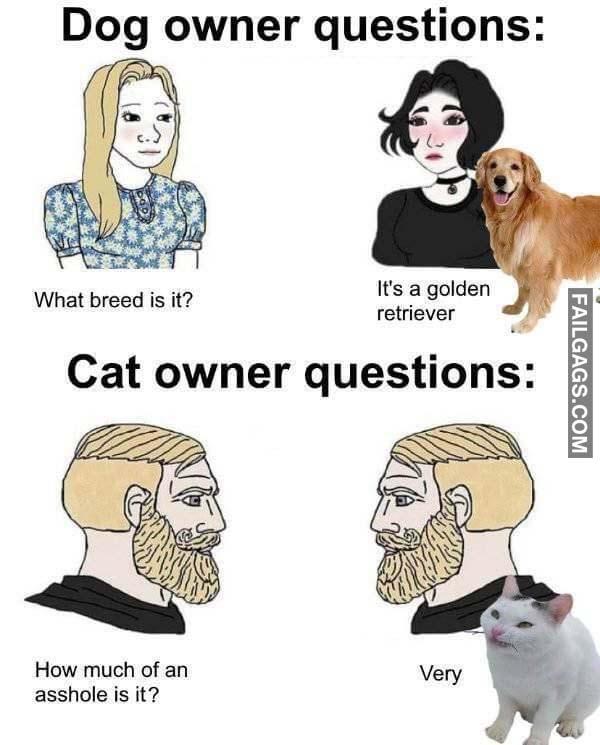 Dog owner vs Cat owner funny memes r/failgags