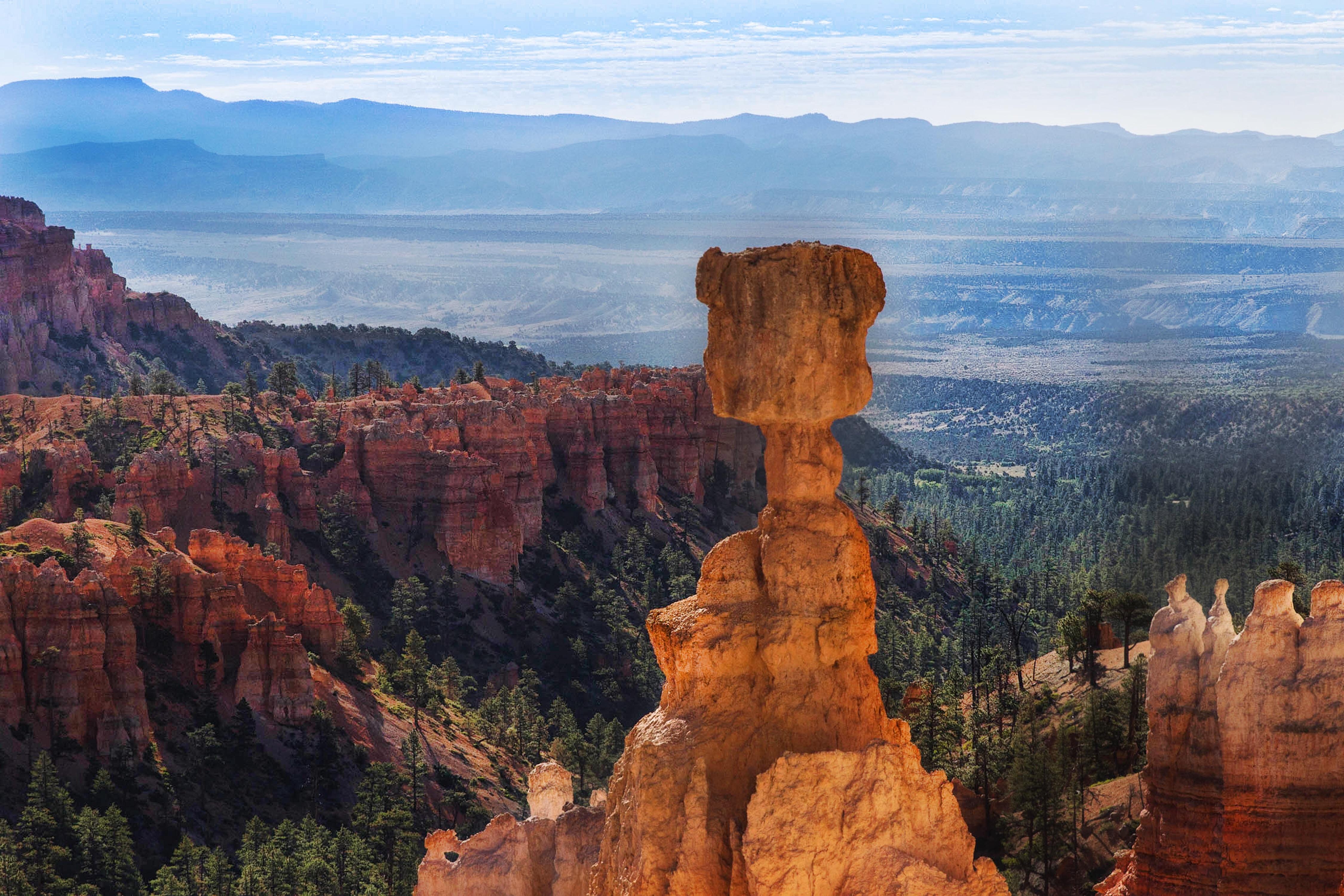Thor’s Hammer , Bryce Canyon , Utah 3650 x 3320 (OC) r/EarthPorn
