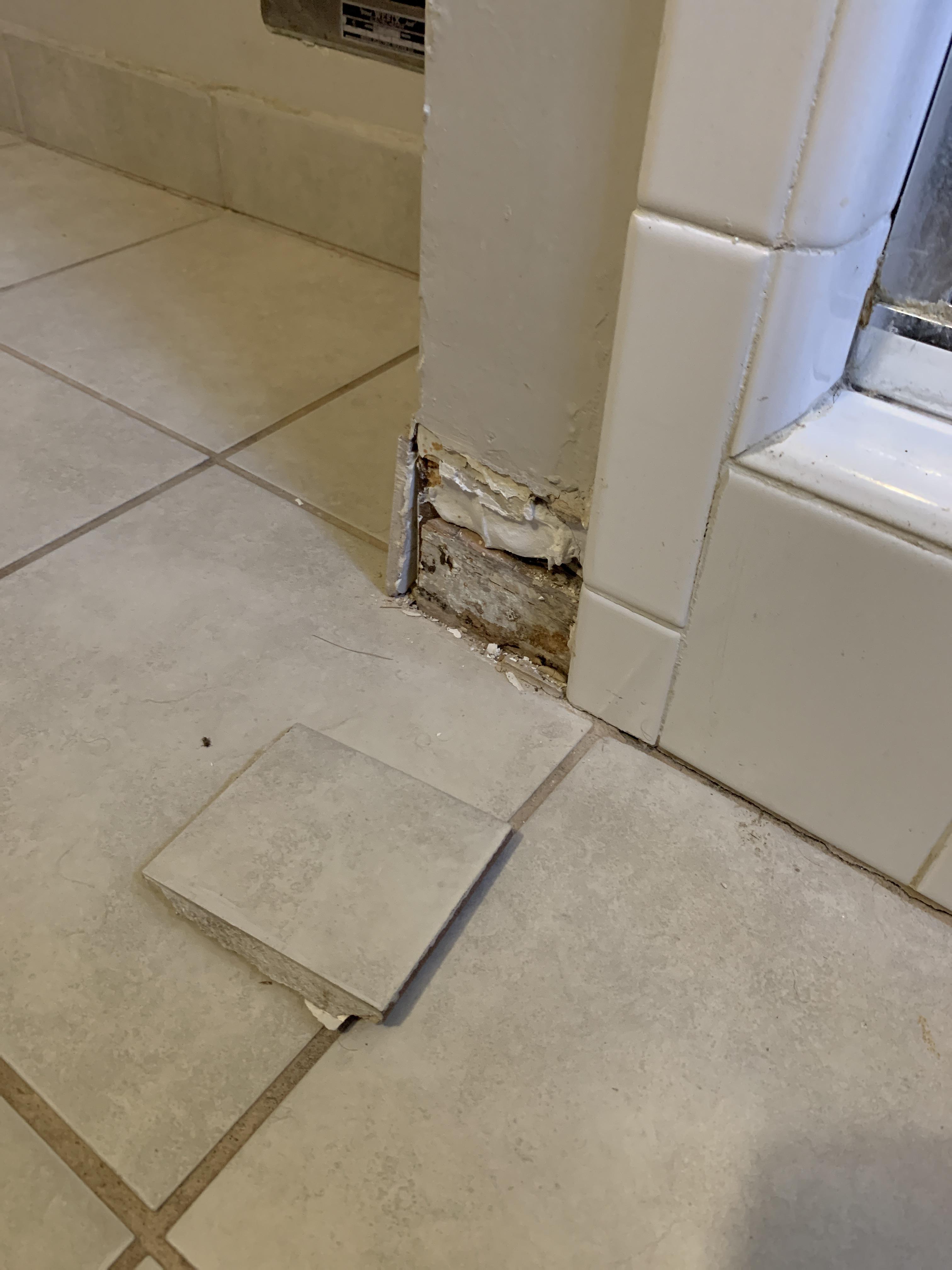 Tile fell off of the bottom part of the wall. Never fixed anything like