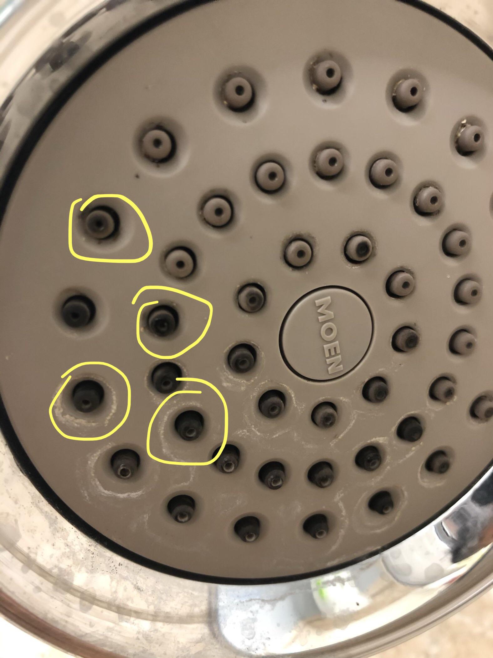 Moen shower head water outlet holes are black any idea of how to