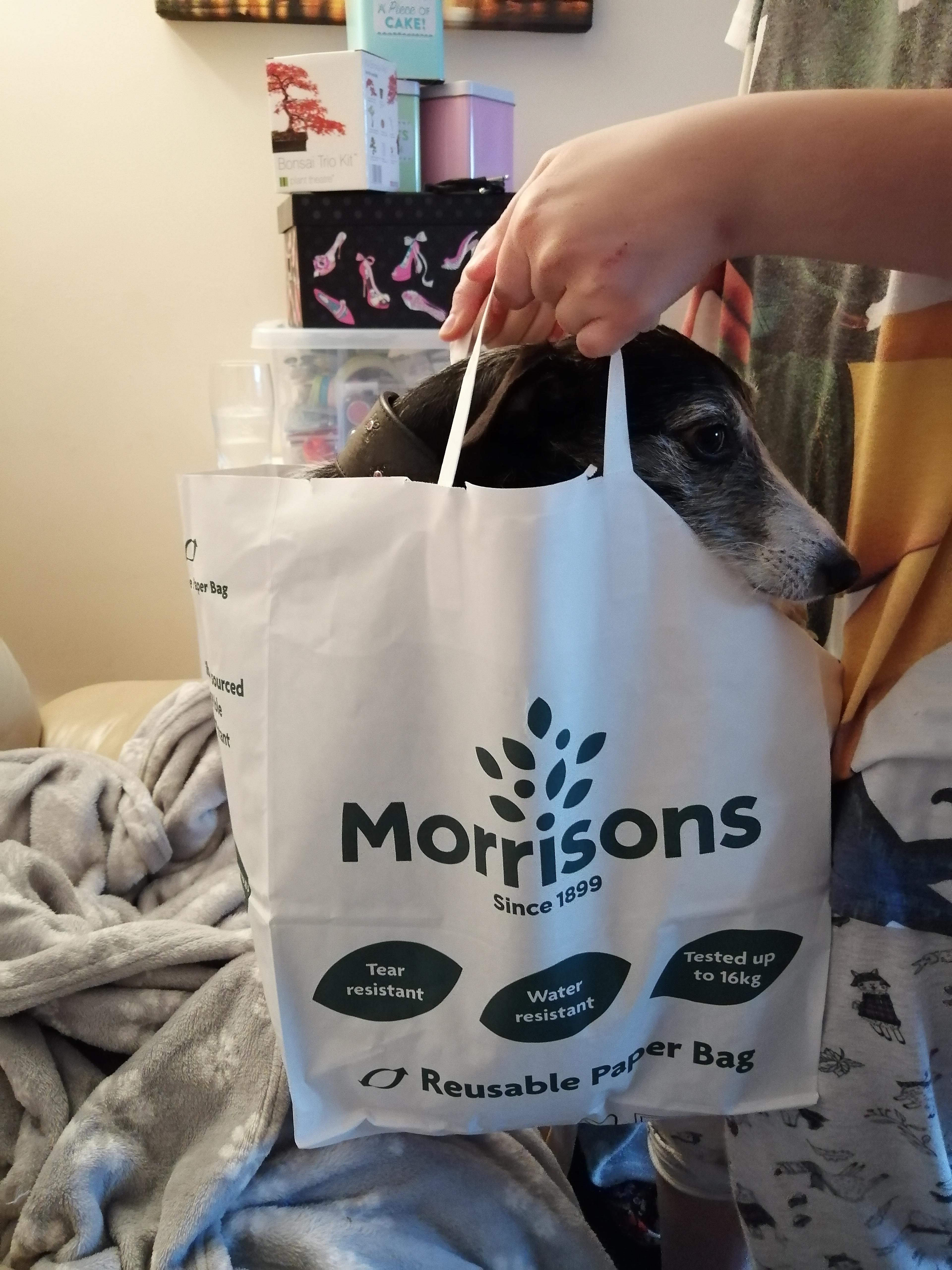 The new paper bags at Morrisons are strong enough to carry a dog r