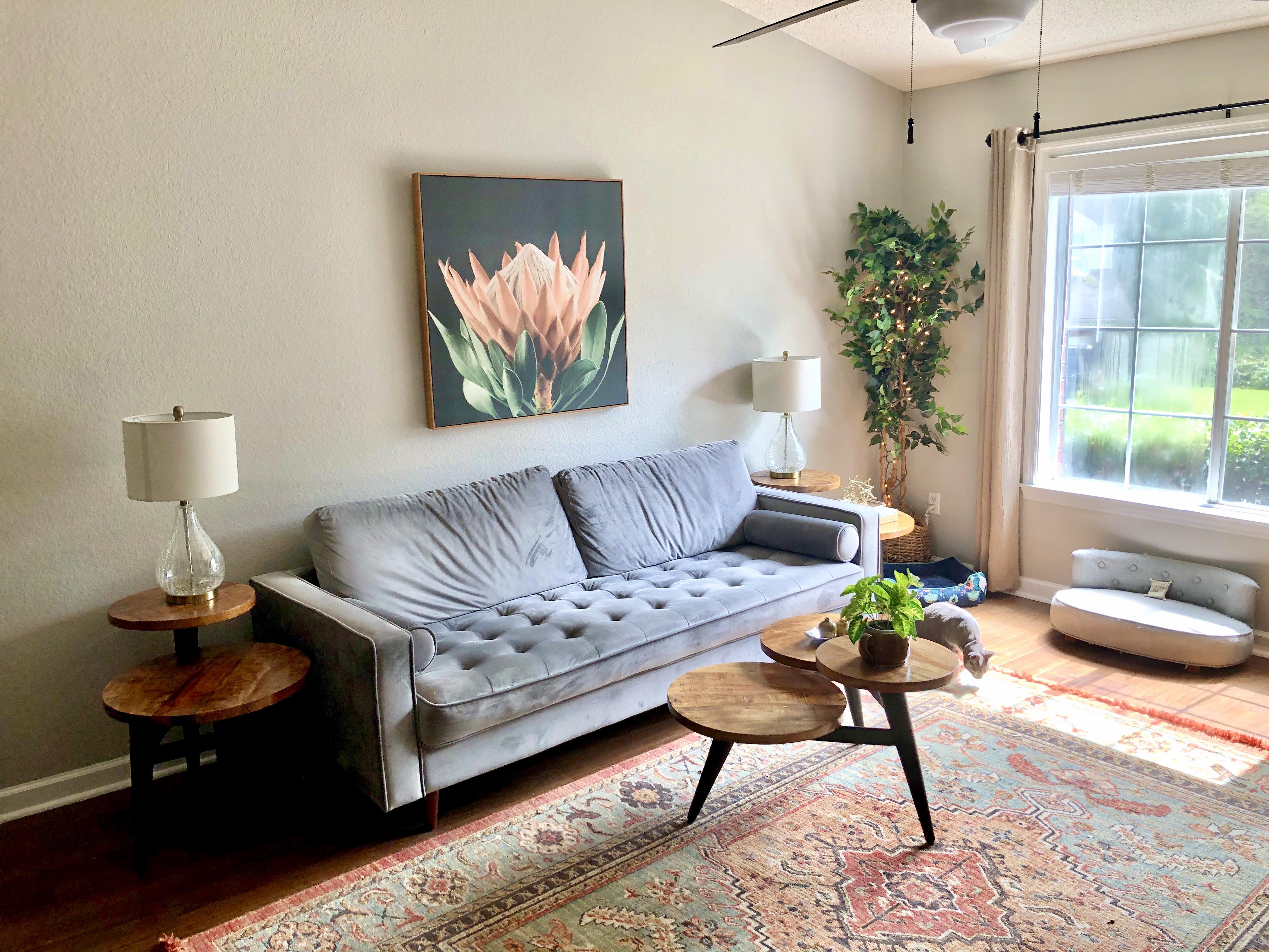 My living room. Tallahassee, Florida. r/AmateurRoomPorn