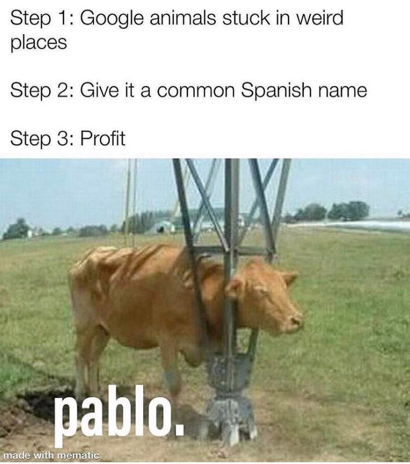 Pablo Meme Pablo Tiktok Meme Youtube Dennis Lemp1944