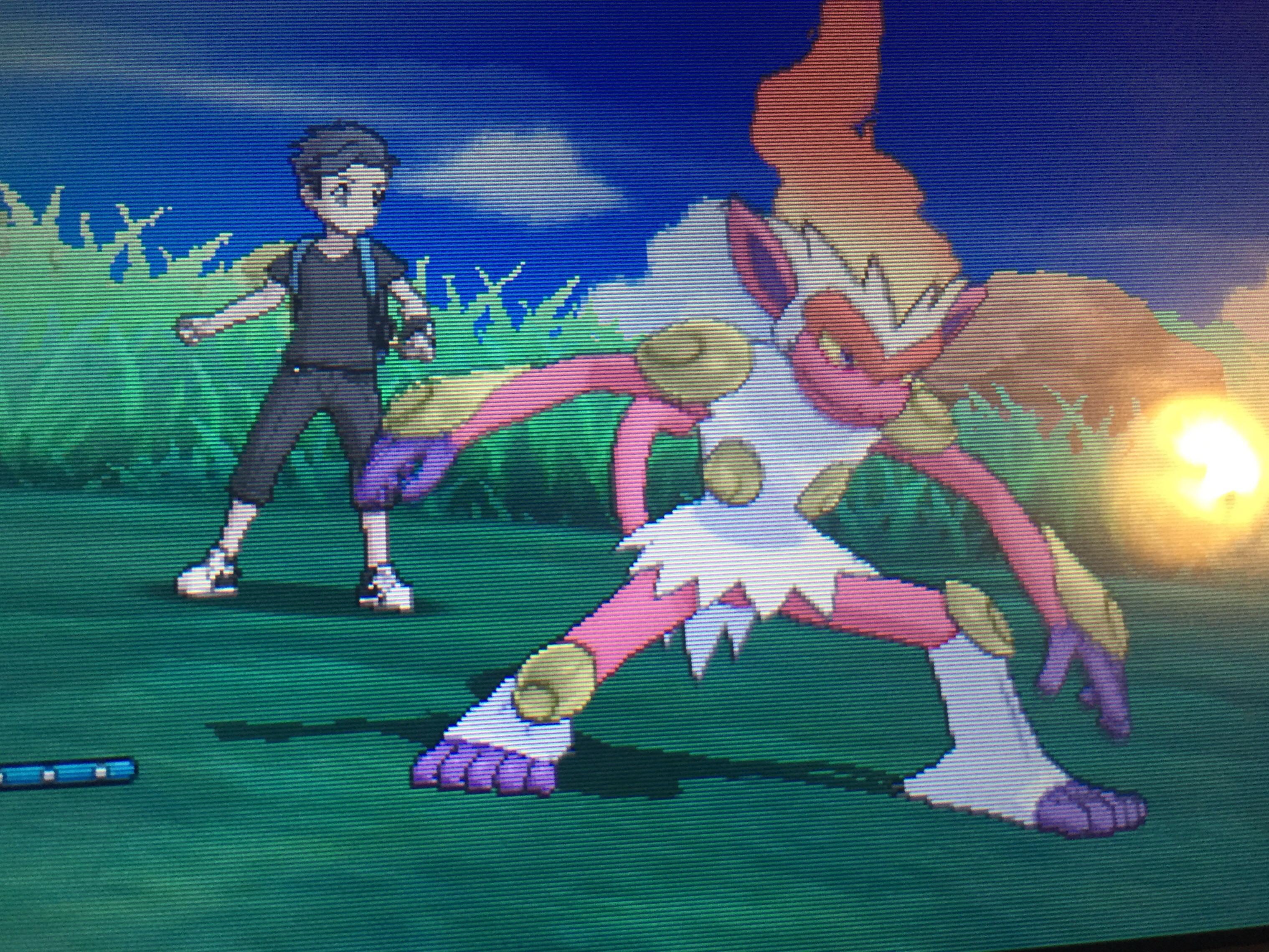 [7] After over 1K eggs, my second in command for US