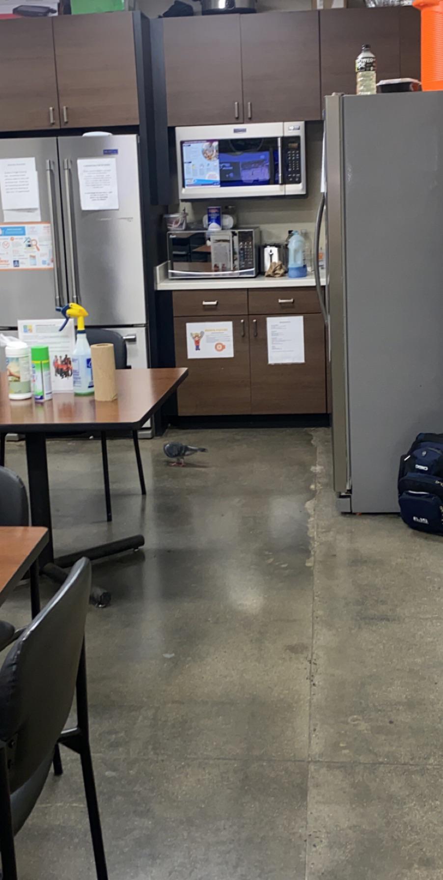 My favorite new seasonal associate r/HomeDepot