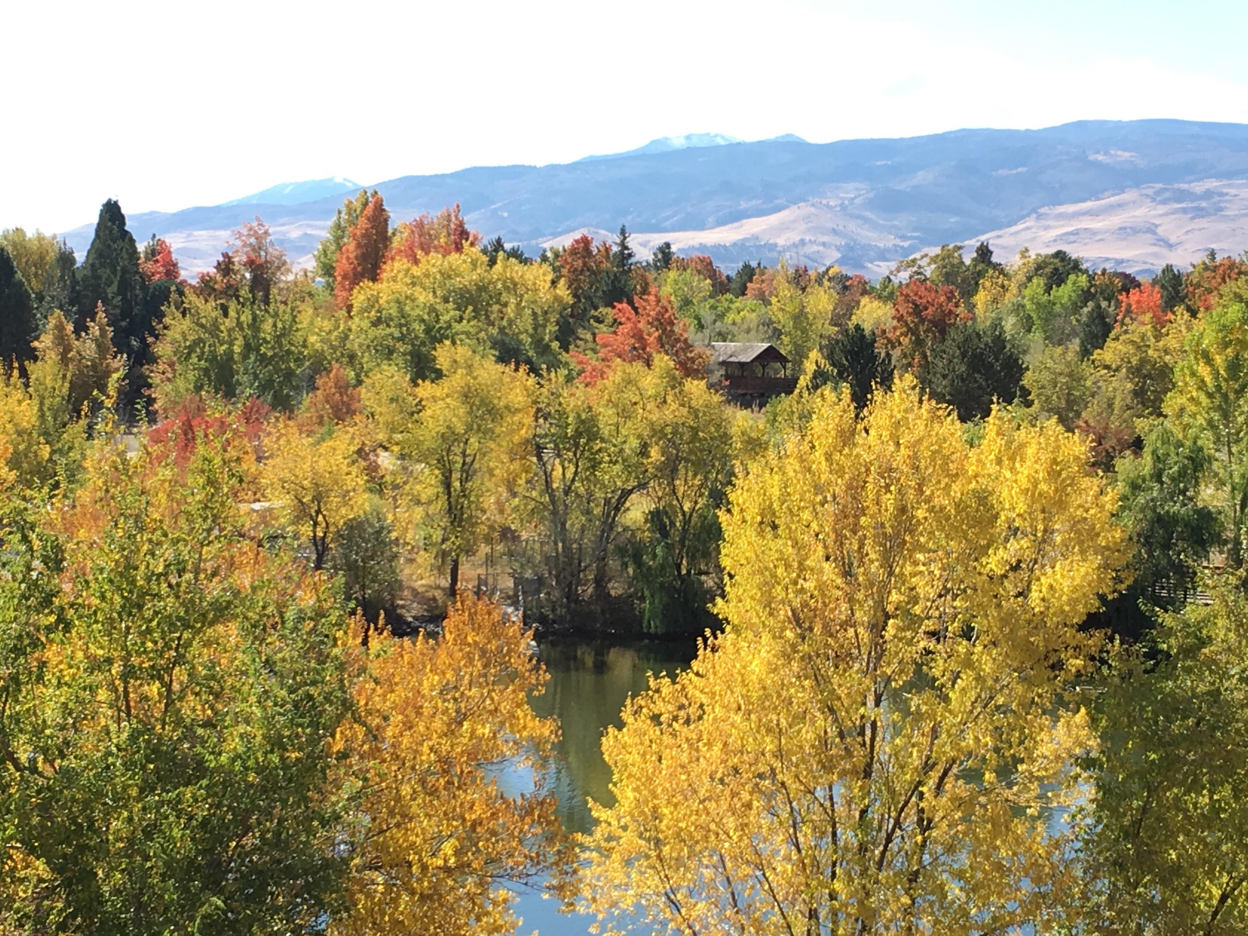Fall in Reno r/Reno