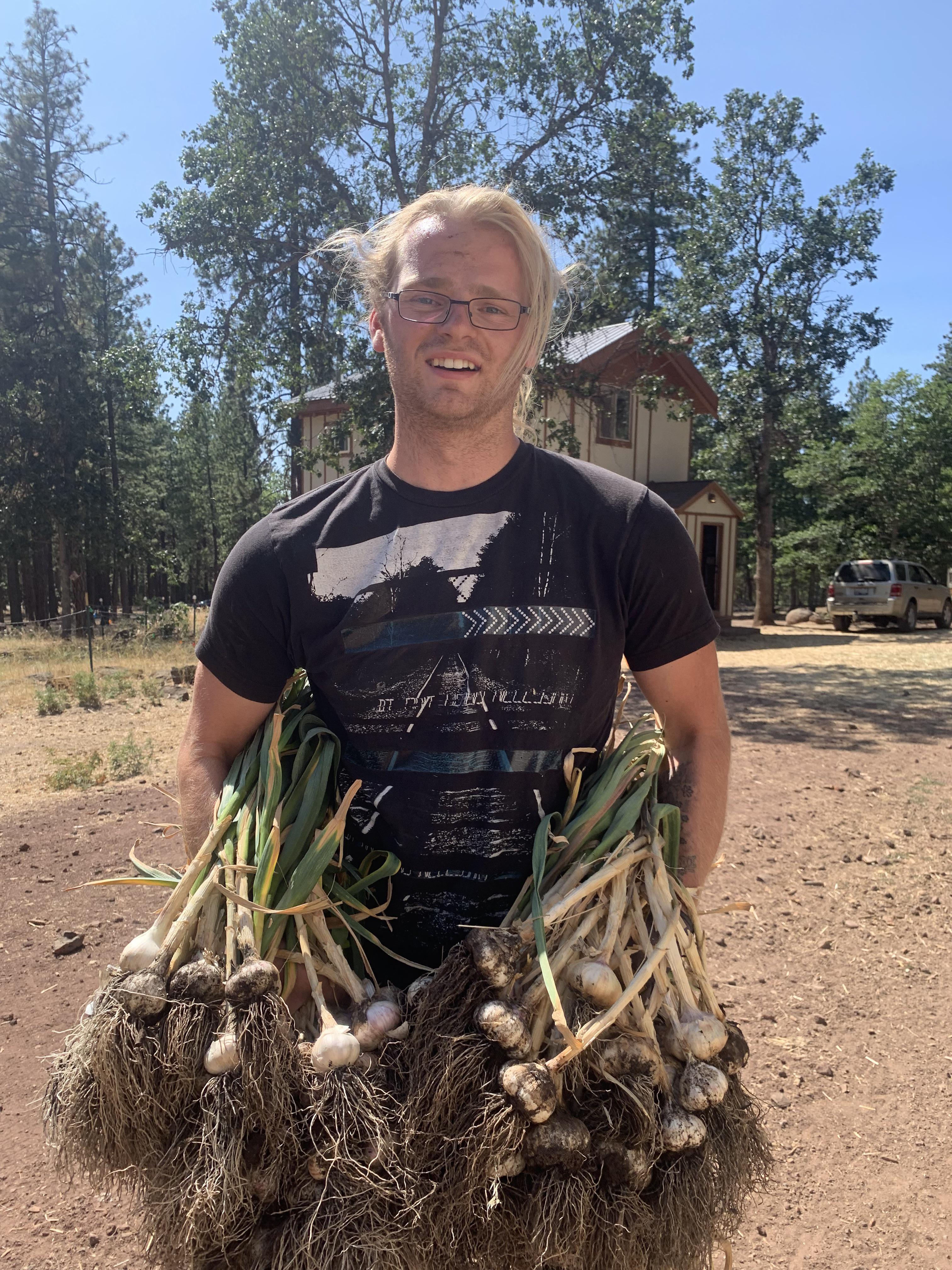 160 bulbs, 12 varieties of garlic harvested zone 6B r/vegetablegardening