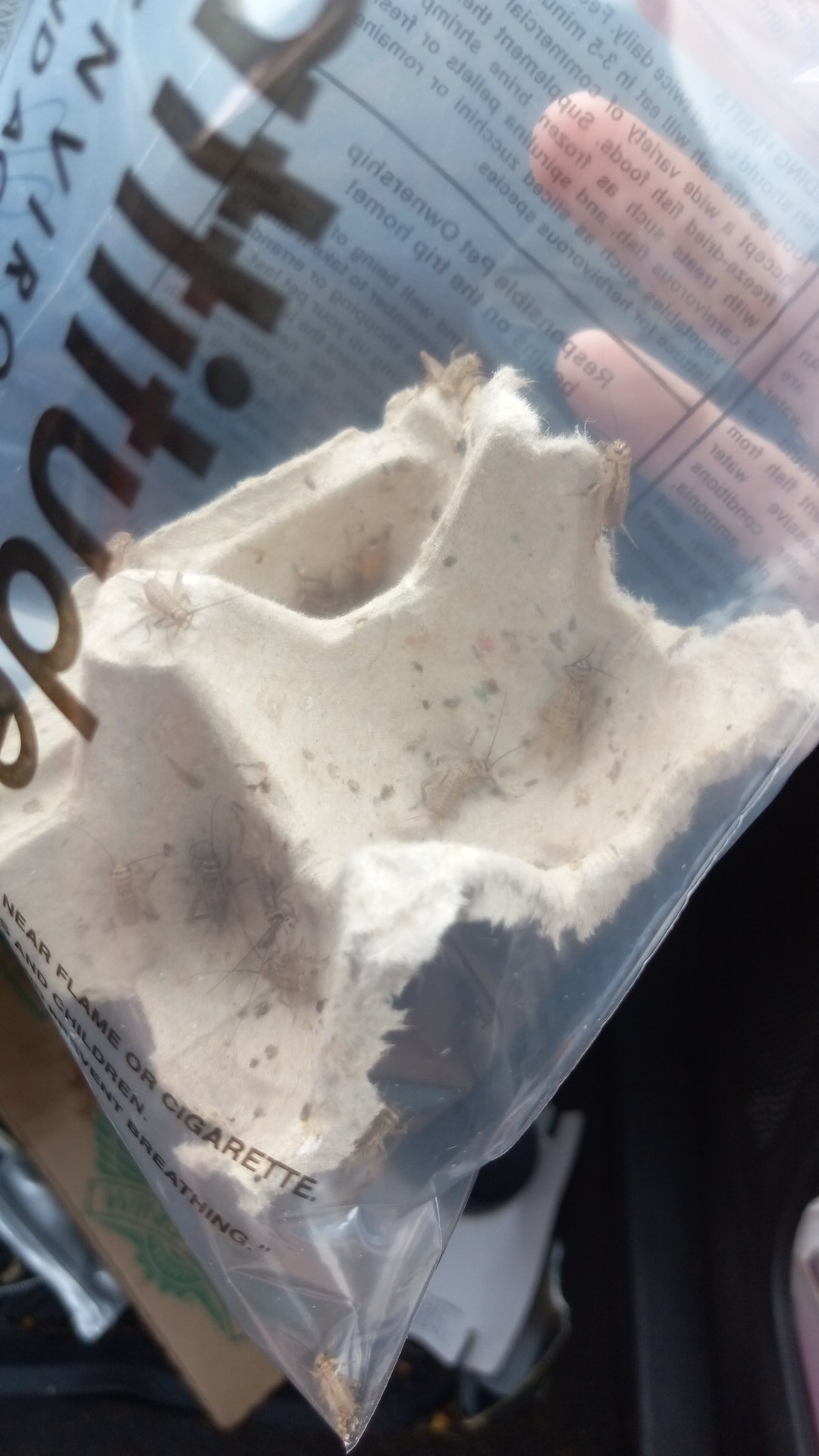 Petsmart gave me crickets. Lmao I had an order from petsmart and it was