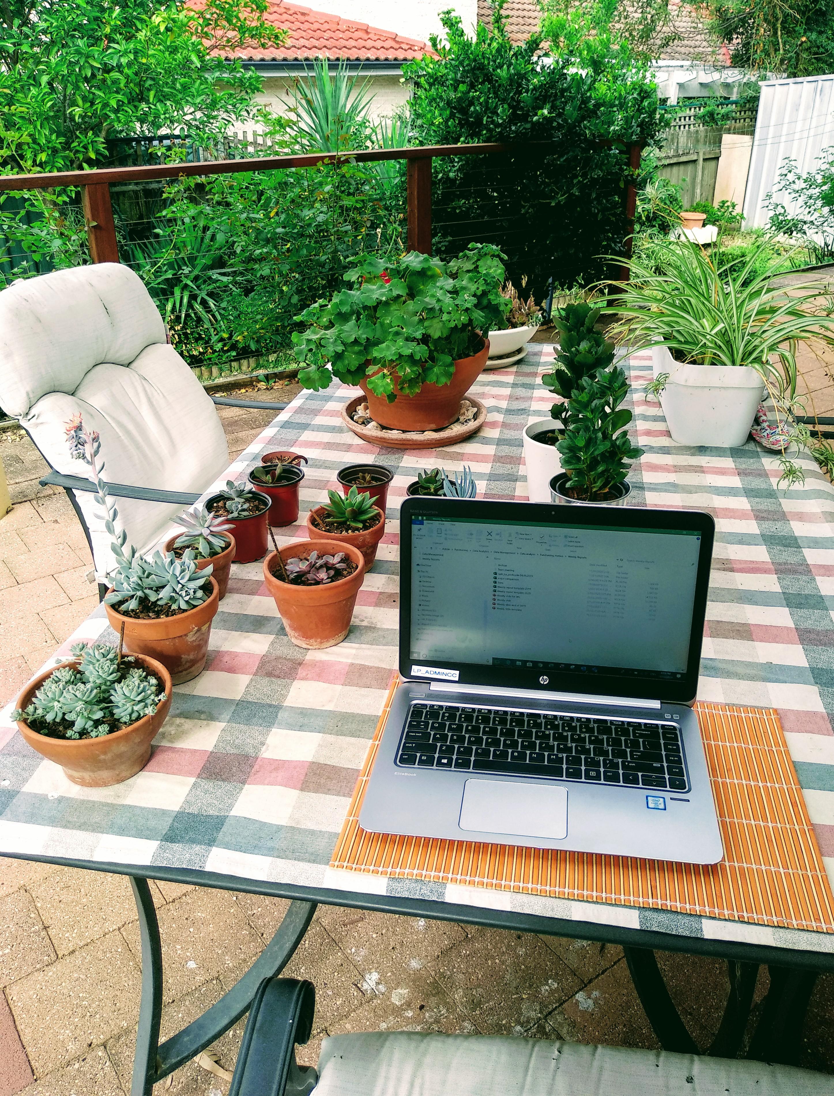 My alternative office. r/CozyPlaces