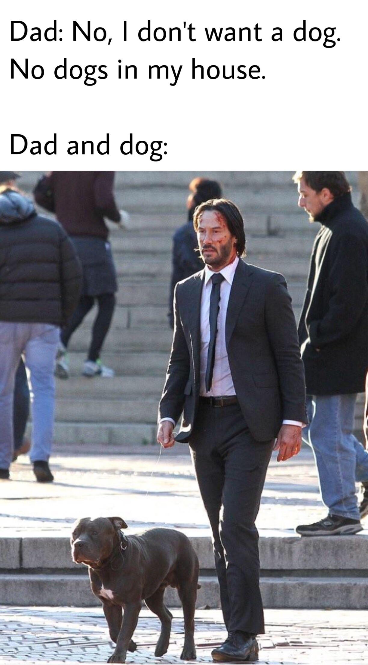 17 John Wick And His Dog Meme