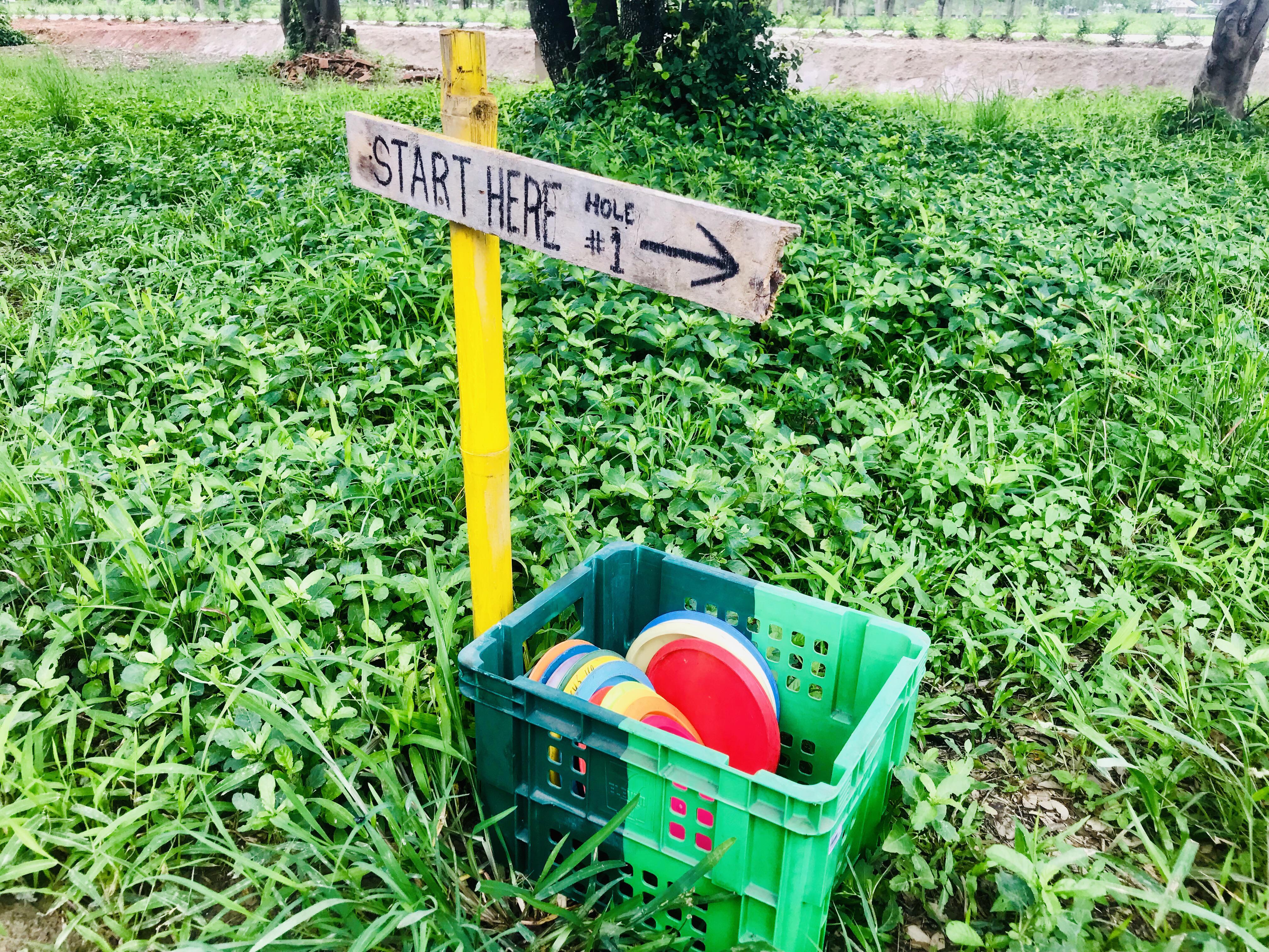 I didn’t know it was disc golf day! But I just put out a crate of discs