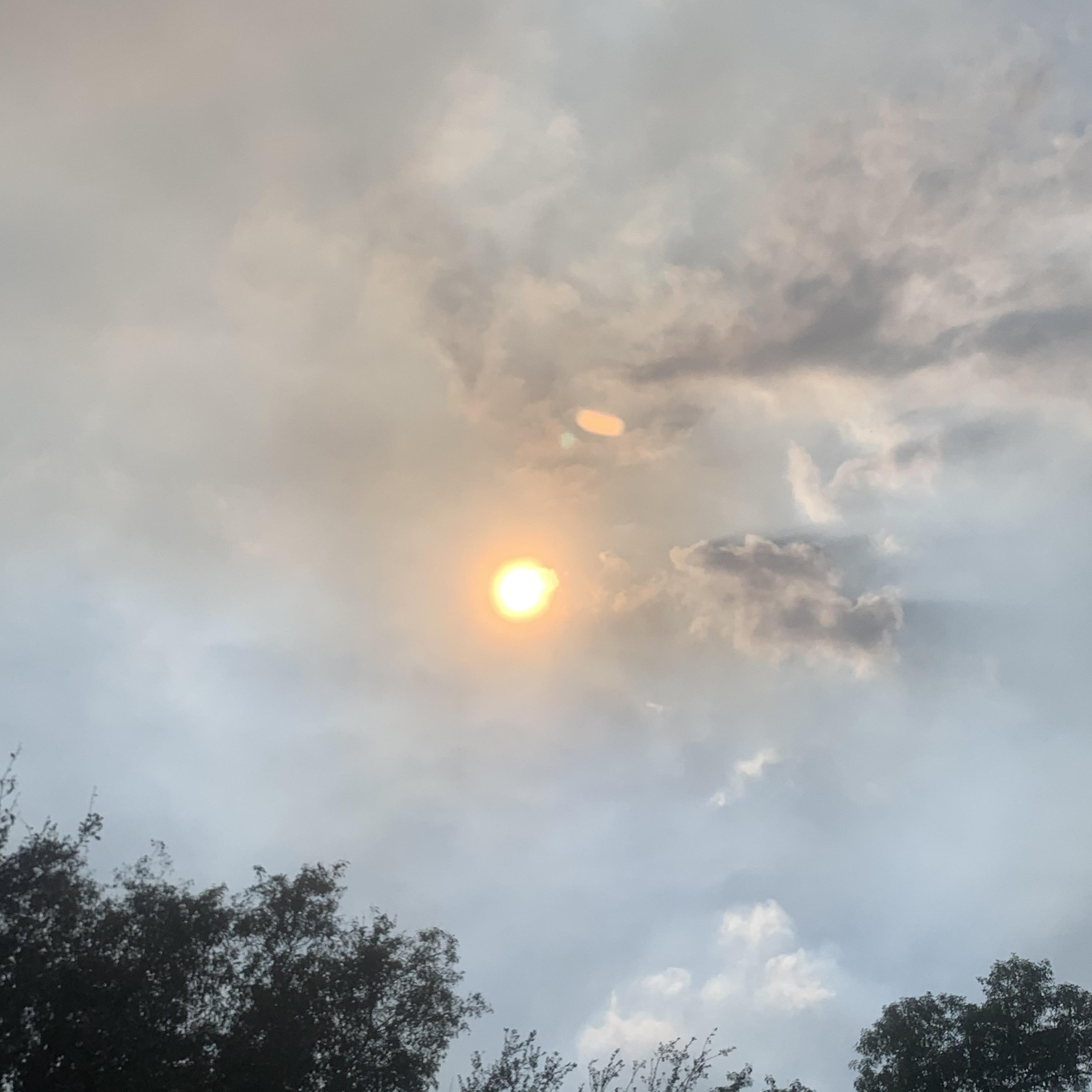 *dumb question probably* but does the sun look extra yellow today? Ps