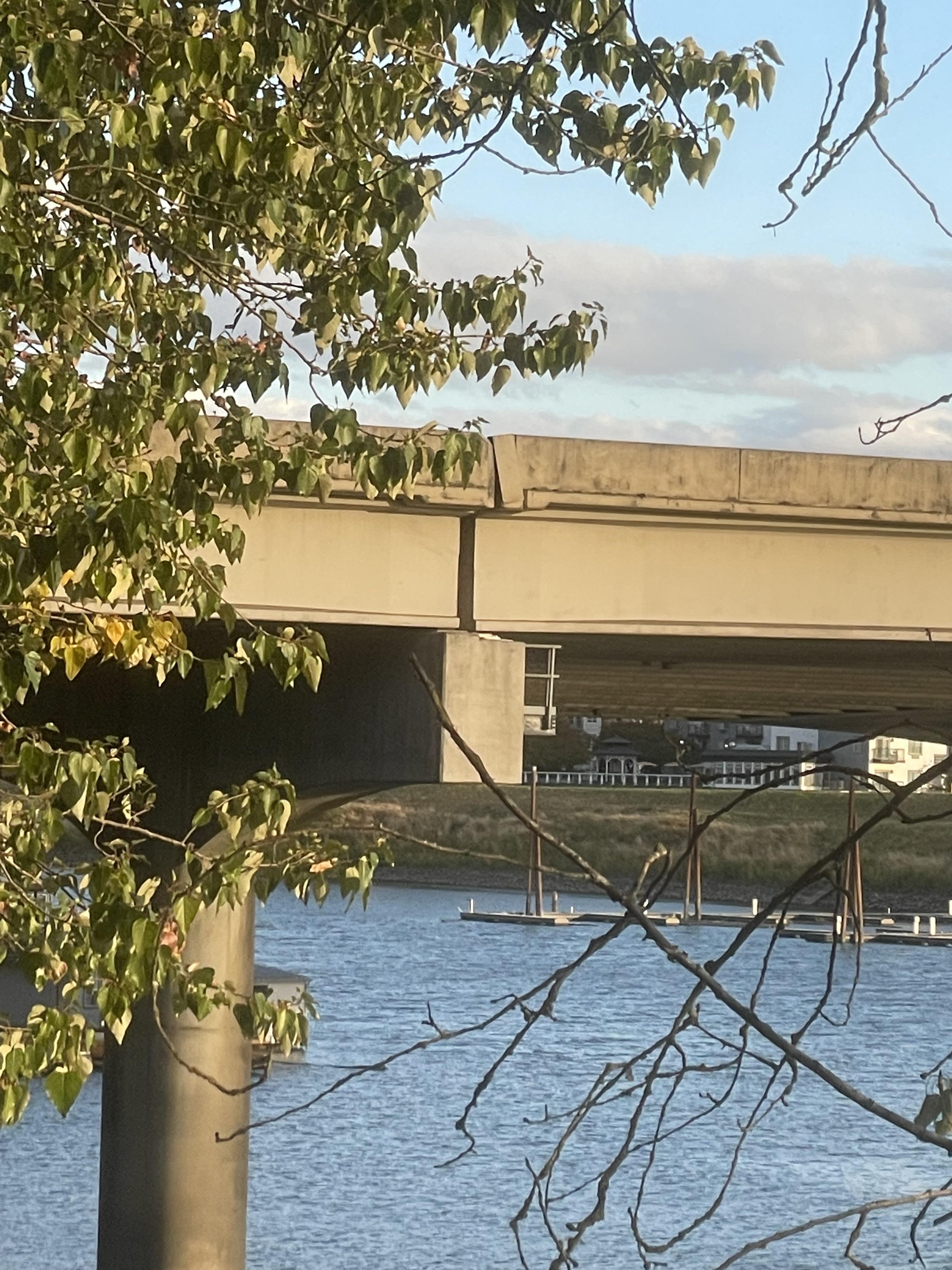 hayden road Reddit post and comment search SocialGrep