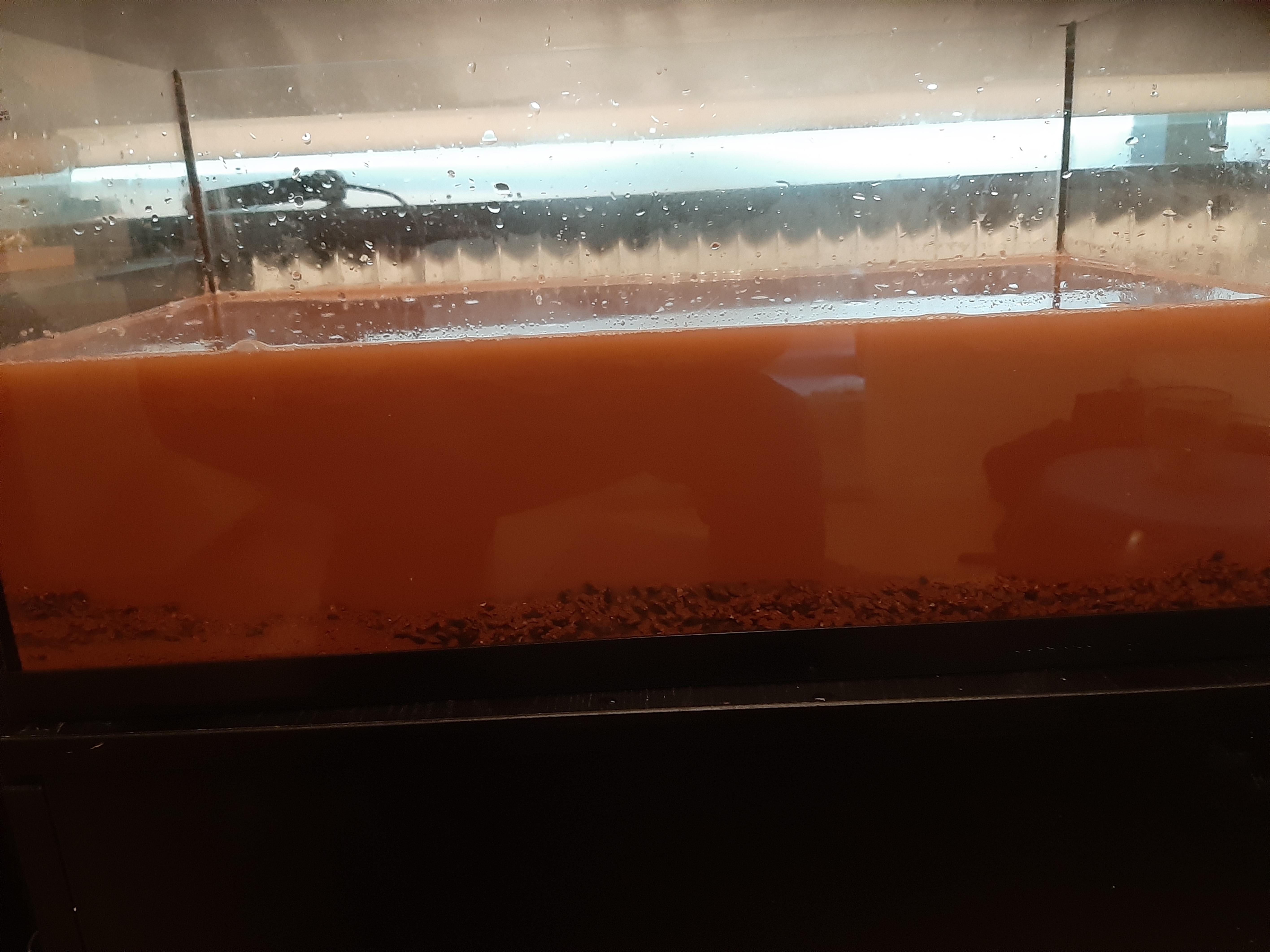 The soil I added is turning the water brown, what is the best way to
