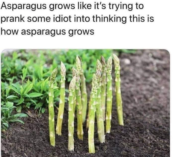 [Question] Garden hose you can drive over? homestead