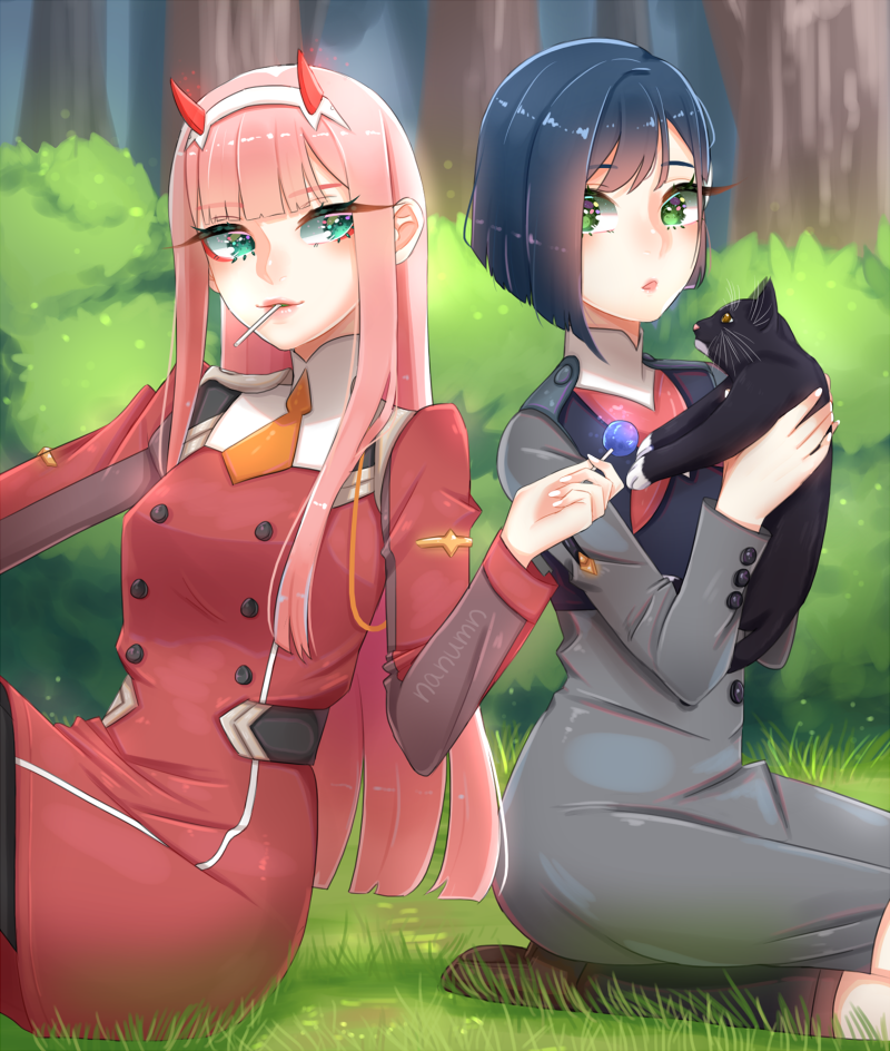 [OC] [Fanart] Zero Two and Ichigo! anime
