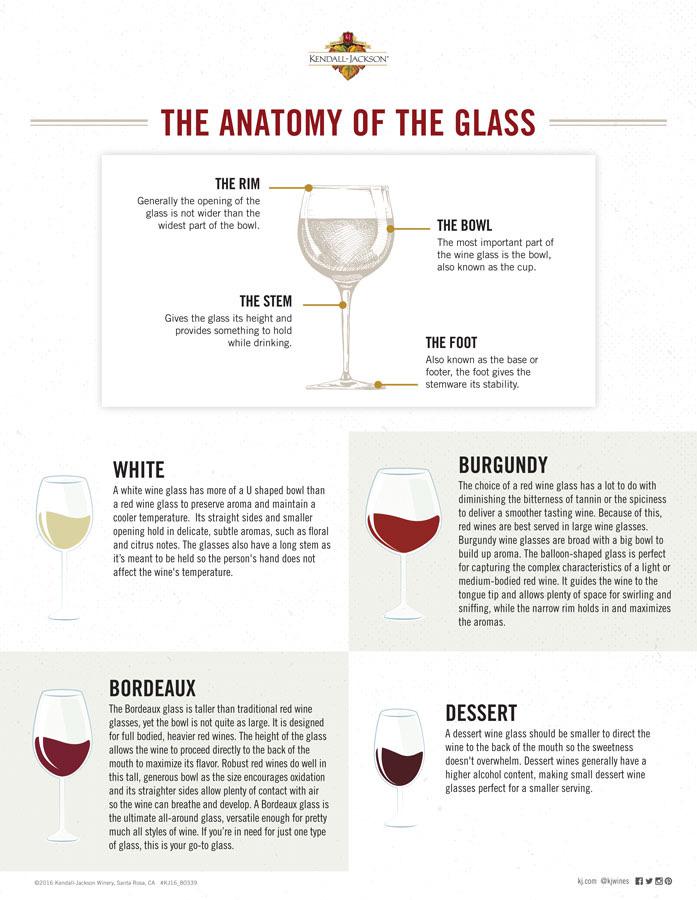 Wine glass types and when to use them r/coolguides