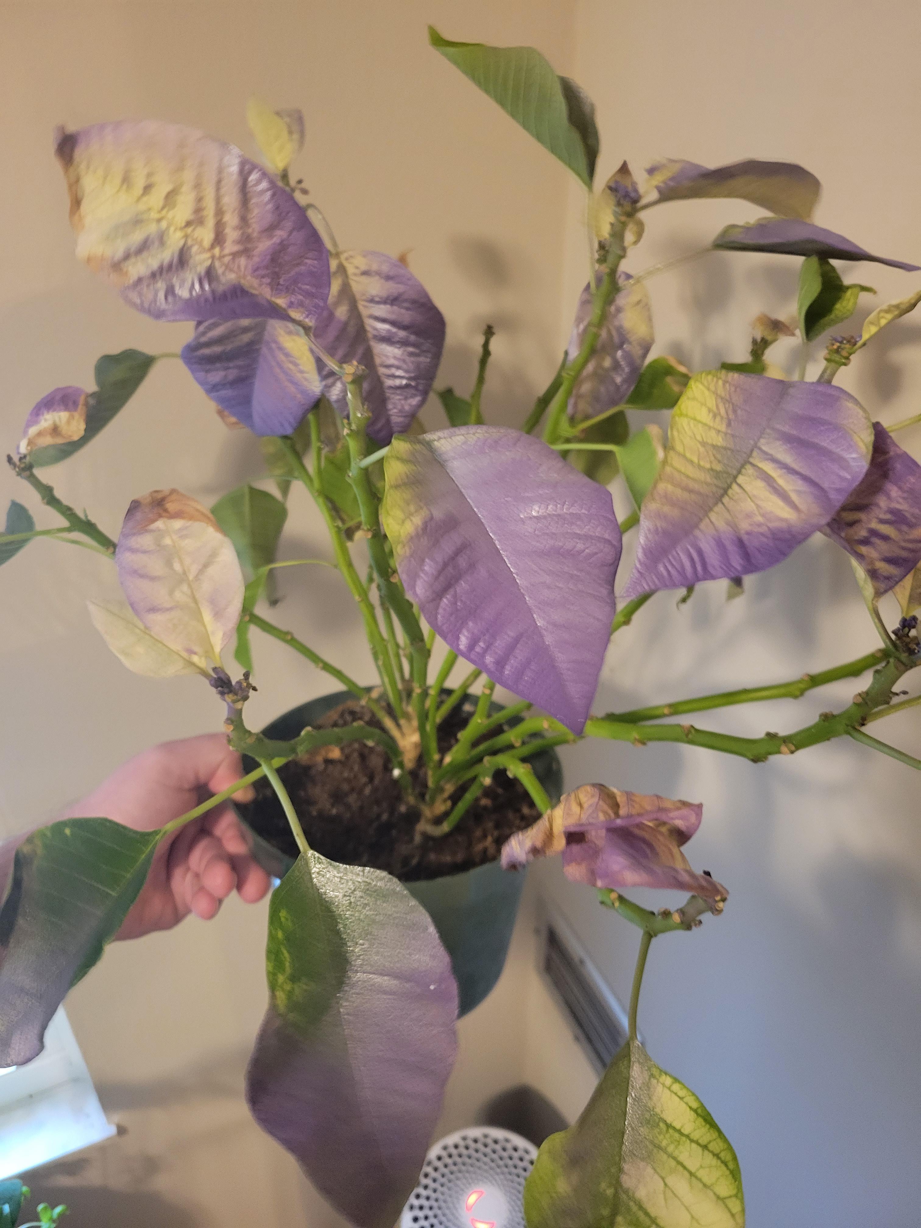 it was 80 yesterday... I put her outside and her... it was 20