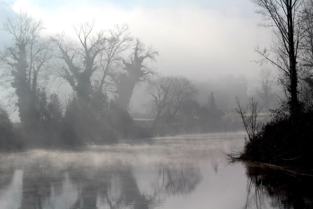River, Fog and forest. Trubia, Spain Forest
