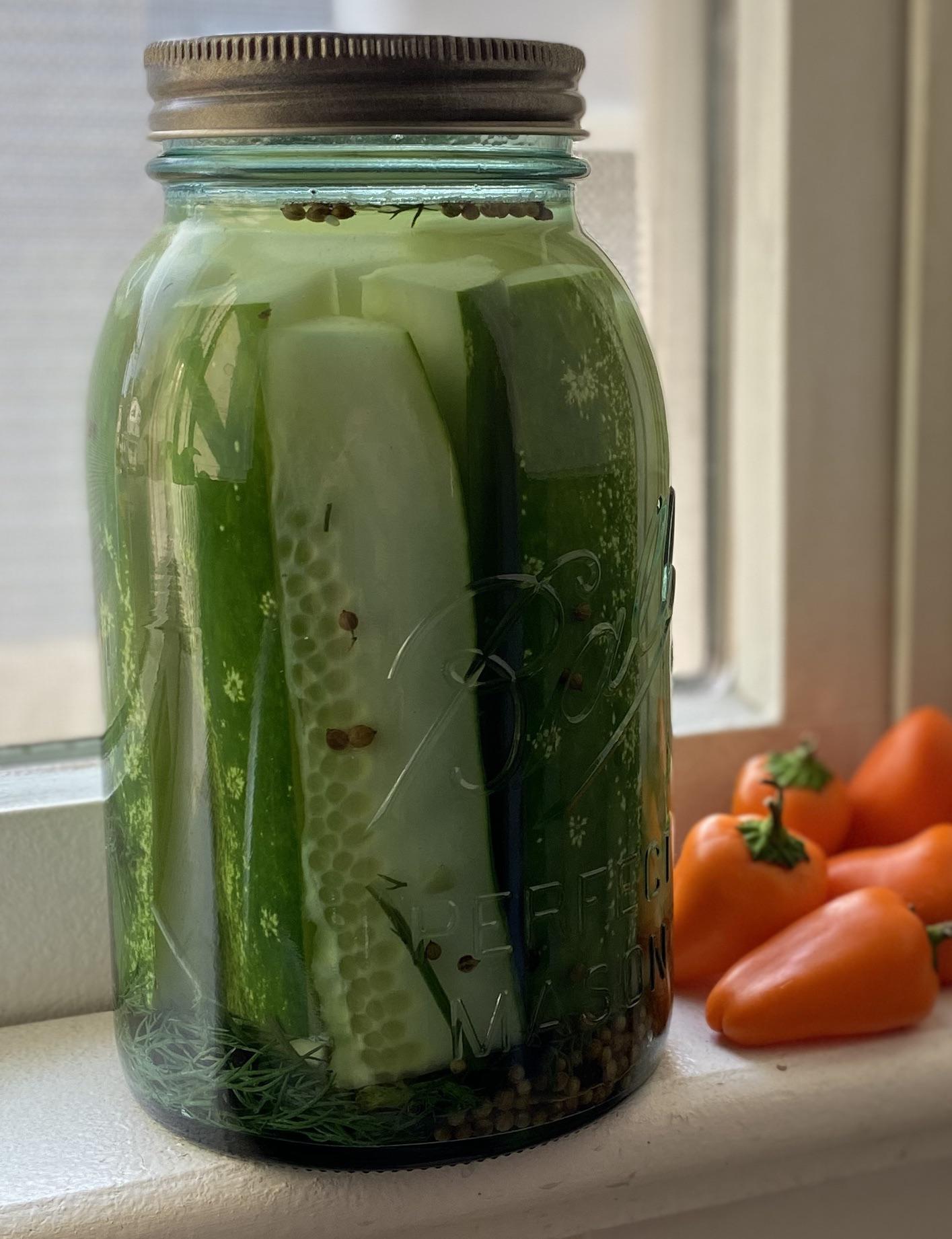 [Homemade] pickles r/food