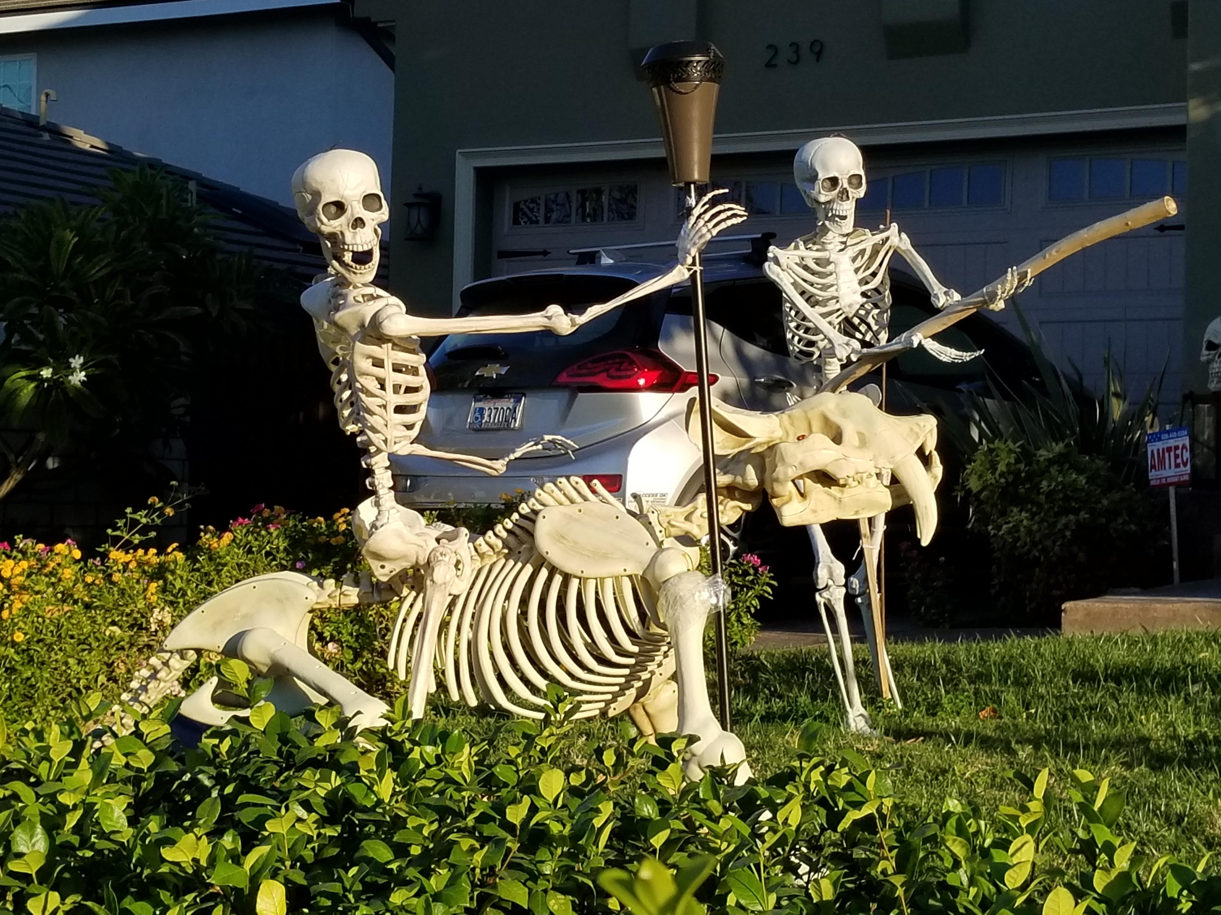 Skeleton battles riding saber toothed tiger! halloween