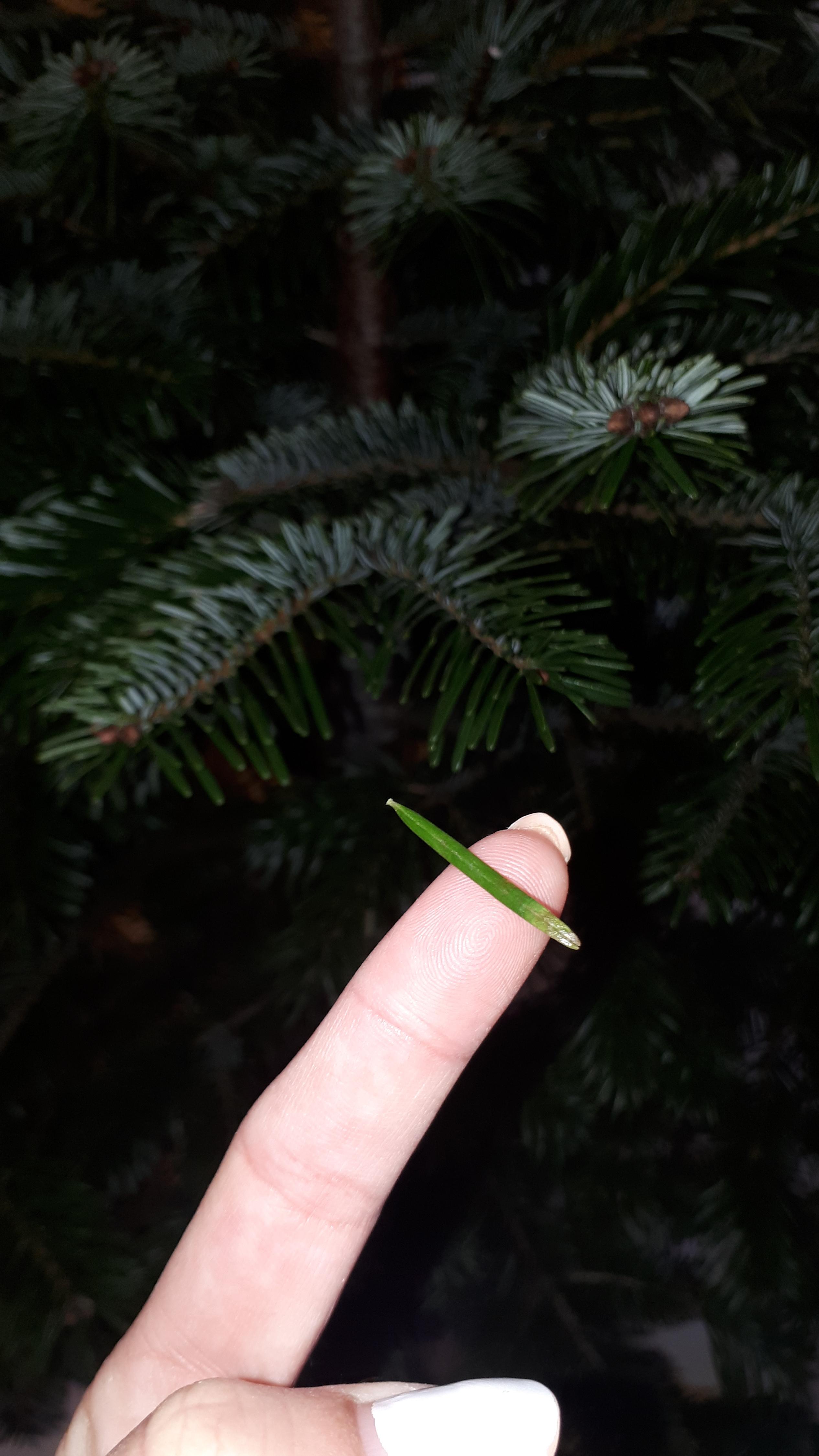 not exactly fitting but I saw that person who 'satisfyingly' vacuumed