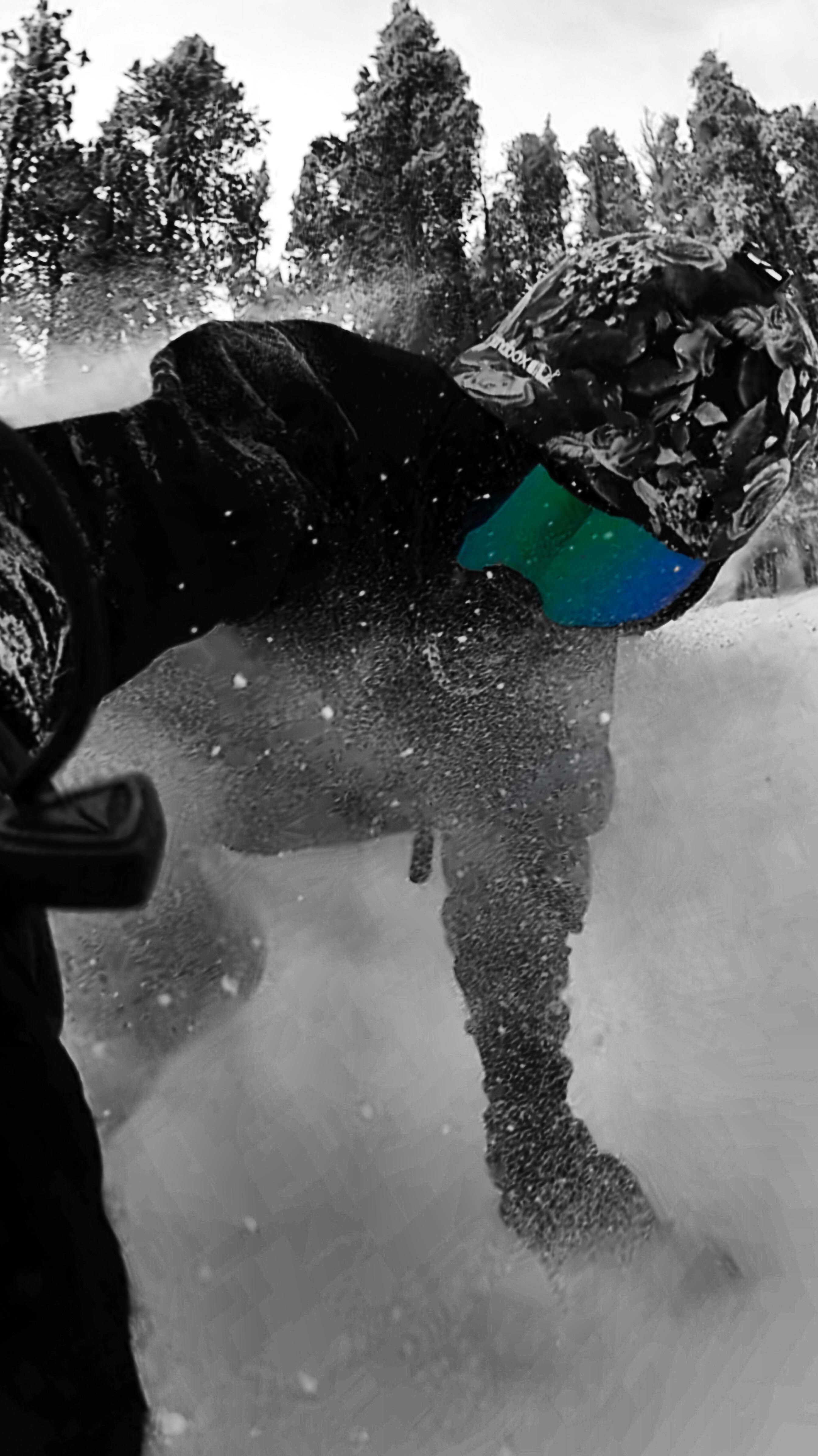 What do y’all think of this snap? r/snowboarding