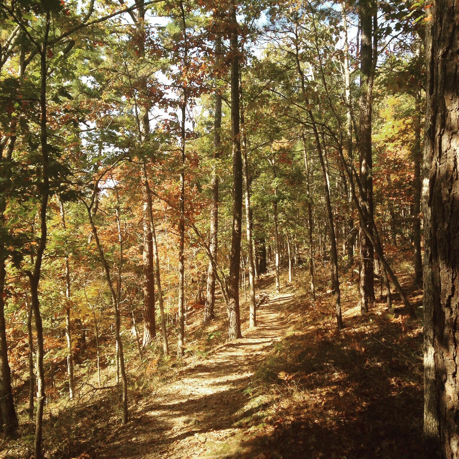 Mid day run, Pigeon Roost Trail. Hobbs state park, AR. r/trailrunning