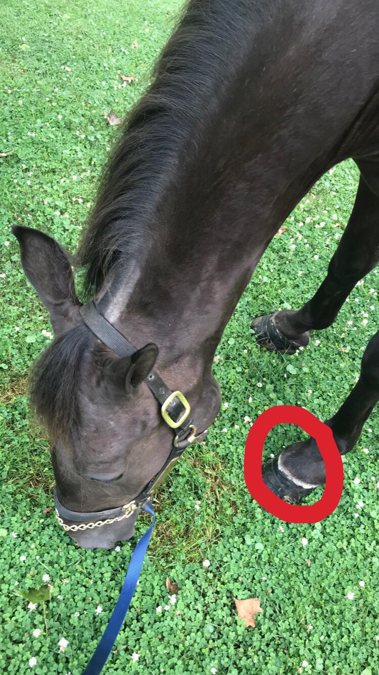 Anyone know how to fix dry band? I’ve tried moisturizing creams