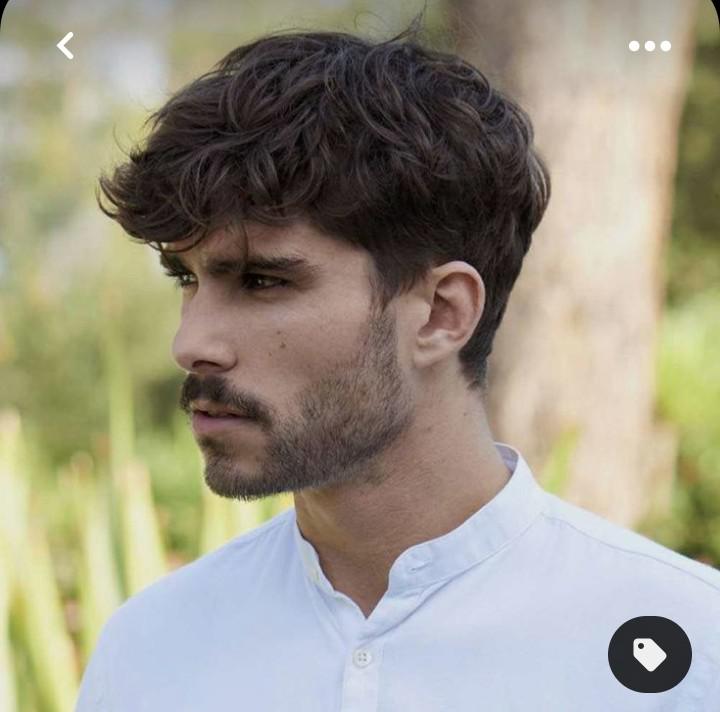 what is this hairstyle called. how should I ask for it. r/malehairadvice