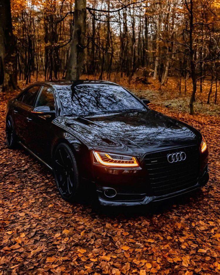 Black Elegance 🥵 Audi