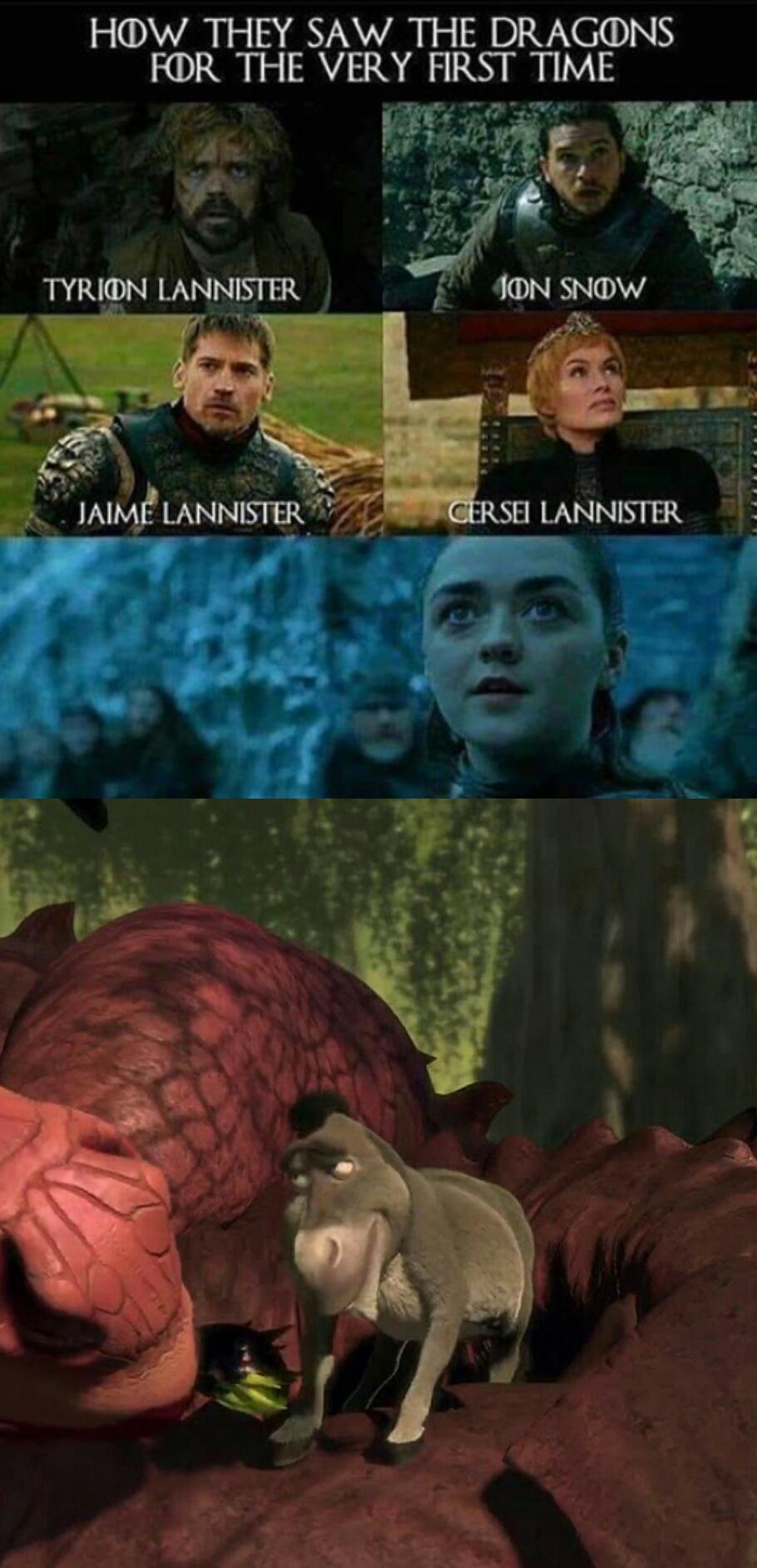 Donkey knows the dragon more than anyone meme