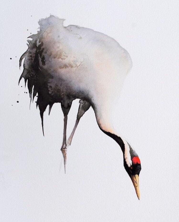 Japanese Crane r/Watercolor